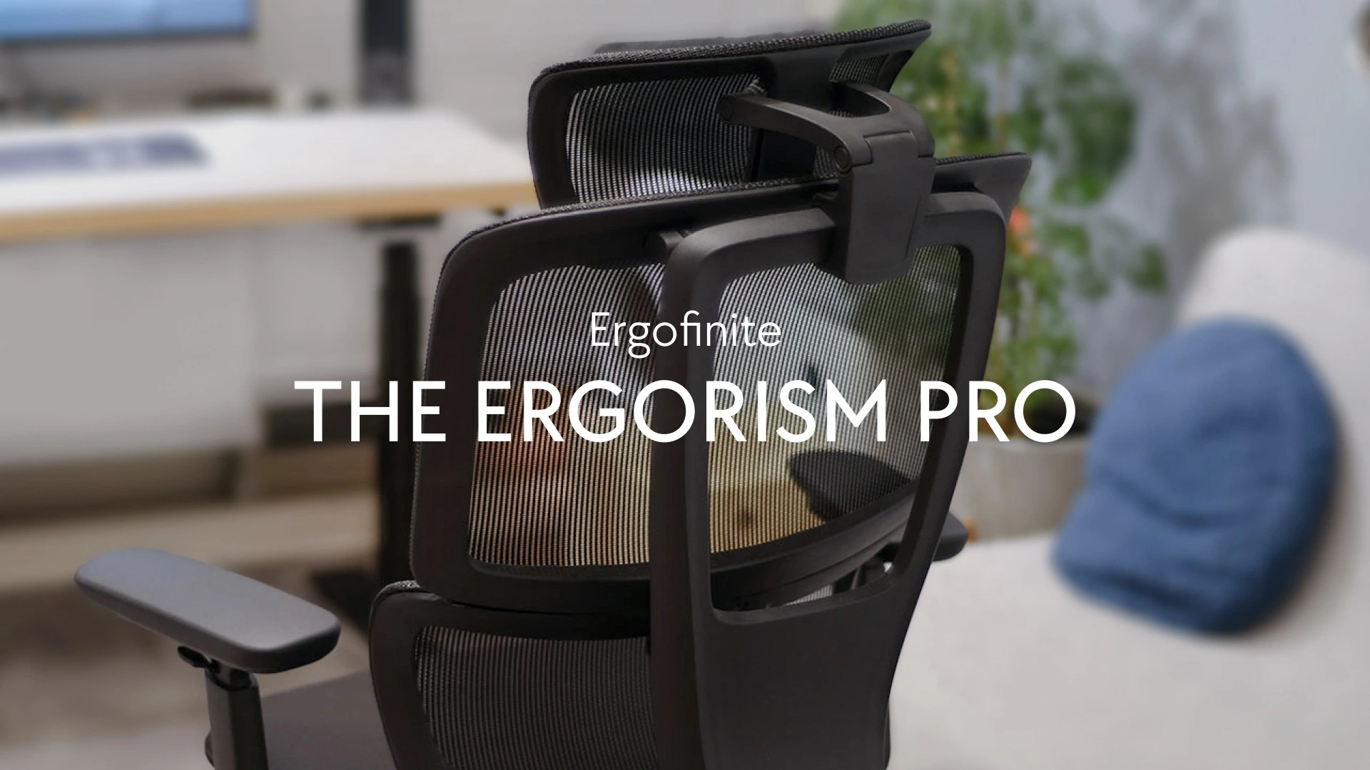 Ergofiniteのワークチェア THE ERGORISM PROで快適なリモートワークを