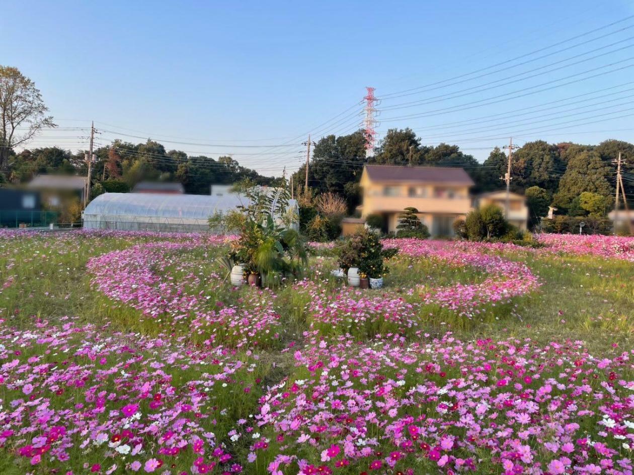 「花一遊」さんからの提供画像：一部モザイク処理済み