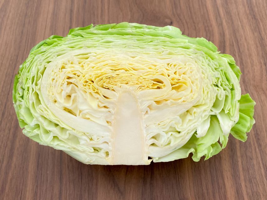 🌞太陽たっぷり浴びたオーガニック キャベツ 1-2玉 3kg Organic