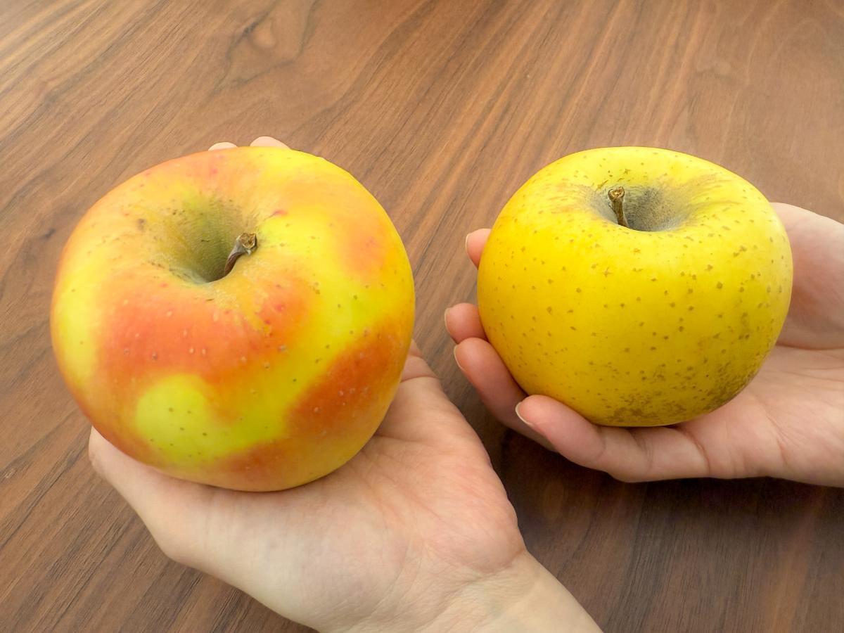 元スーパーの店員だからお客さんに伝えたい！りんごを買うときに