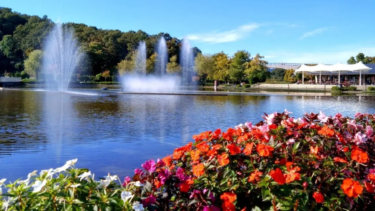 長岡市】10月28日・29日は「ソトアソビソトゴハンin越後丘陵公園