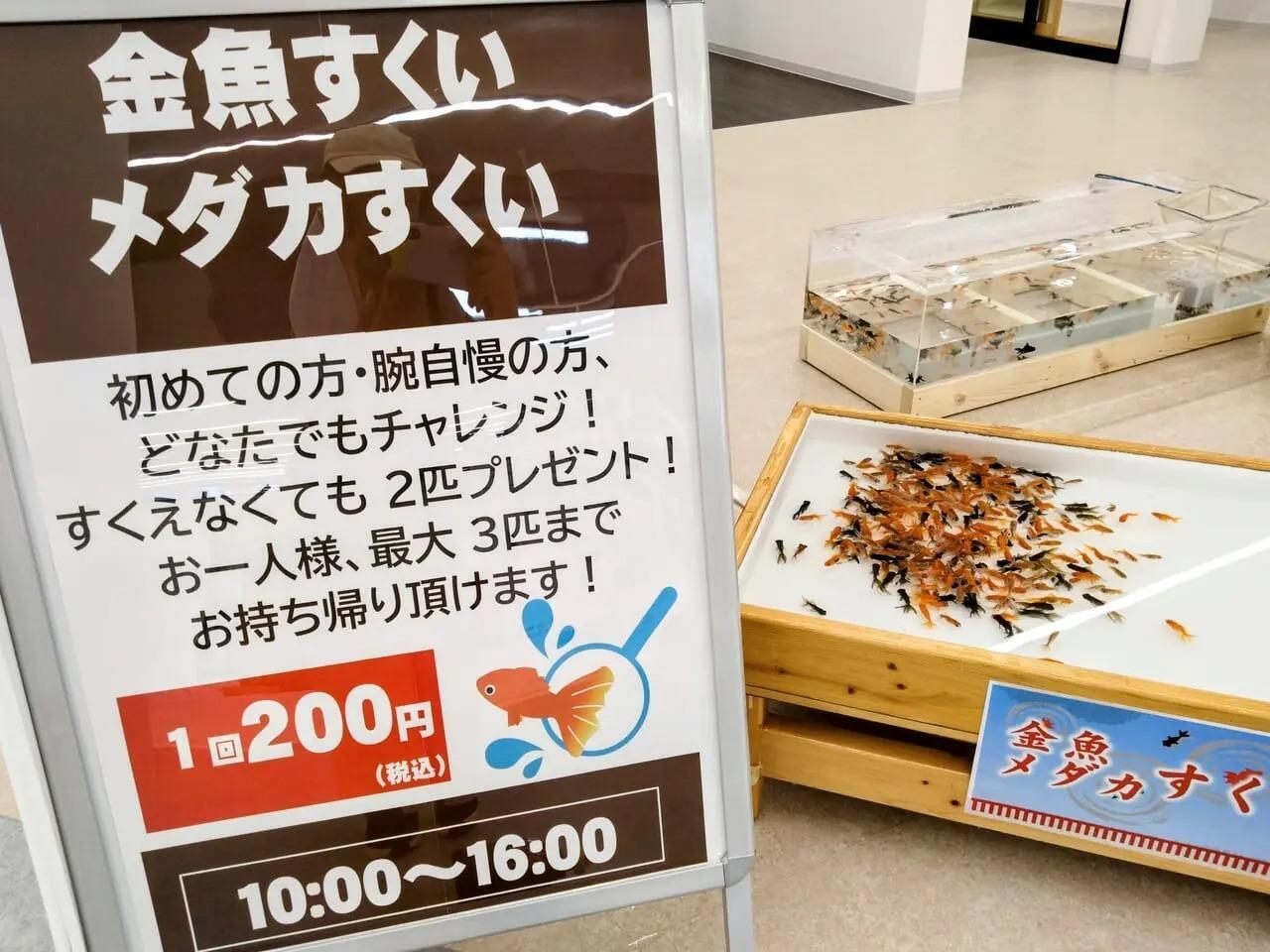 ムサシ 販売 ペット 長岡