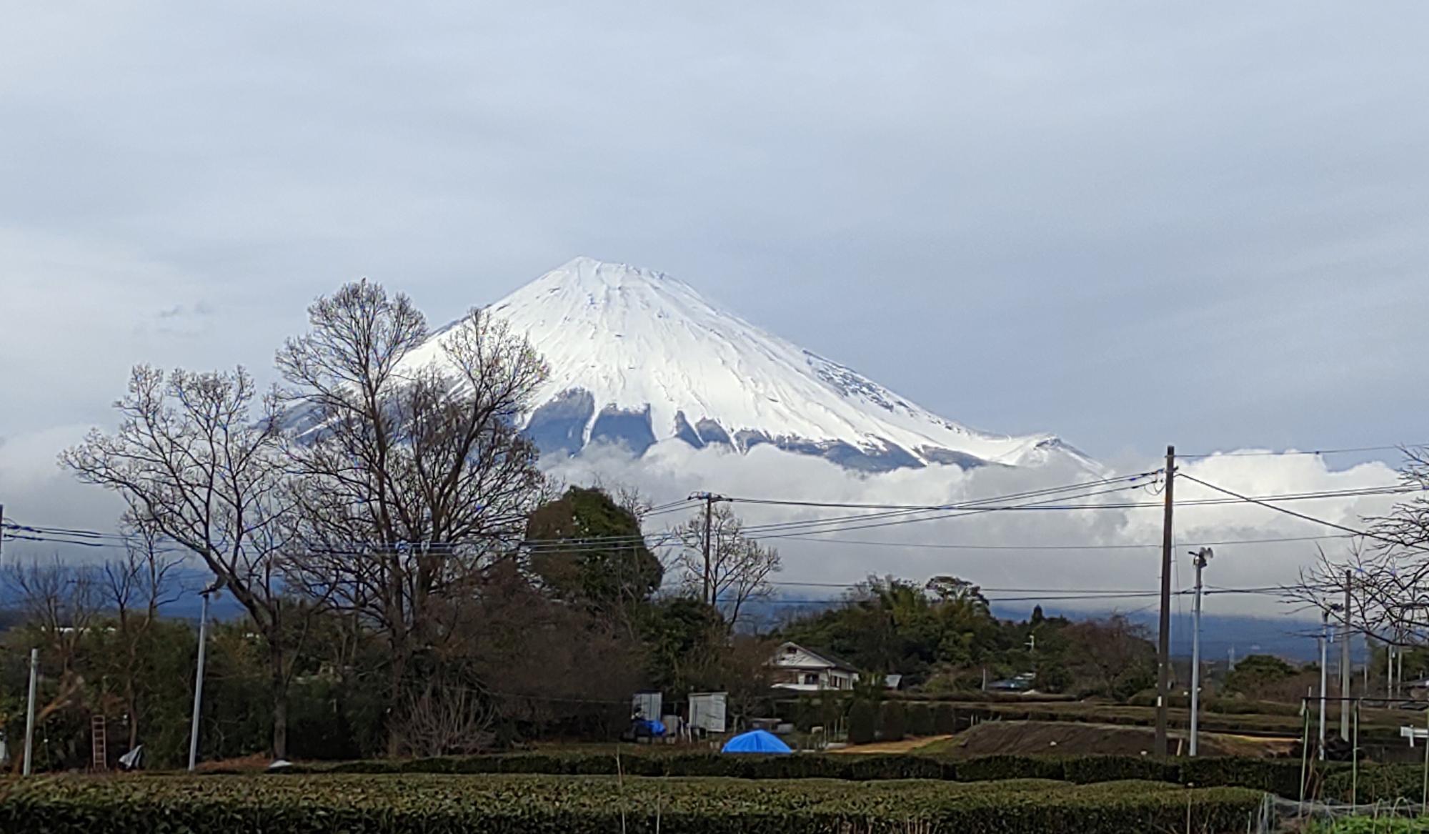 冬の富士山は迫力満点！