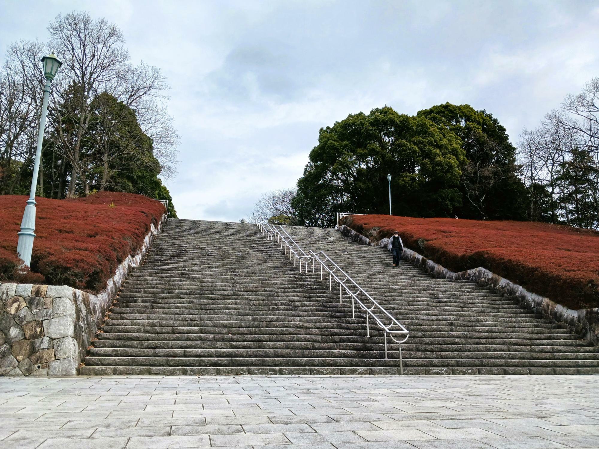 公園前の道路からはこの階段が見えますが、いろいろな方向から公園に入ることができます