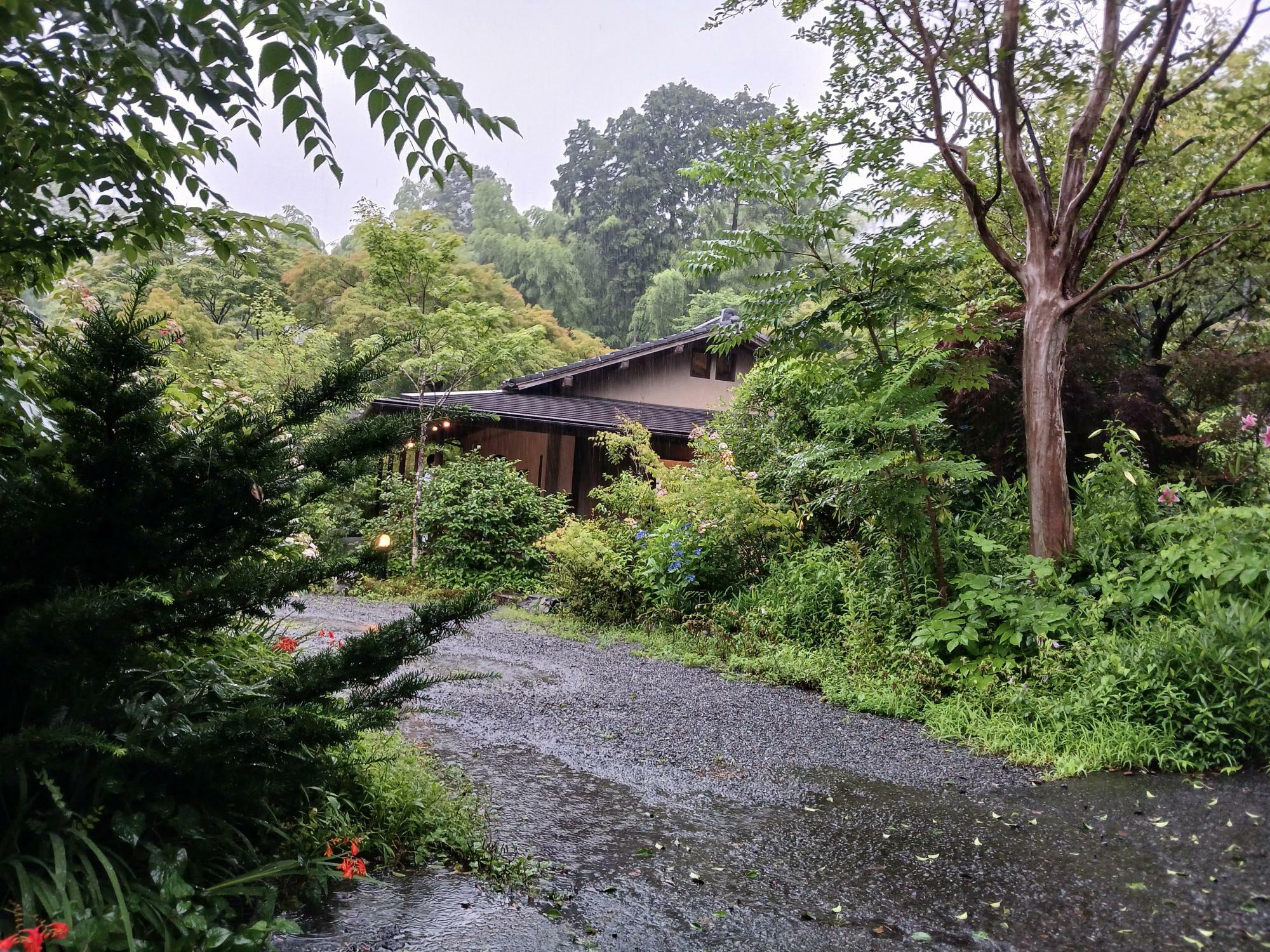 夏は植物に囲まれ、秘密の隠れ家の様