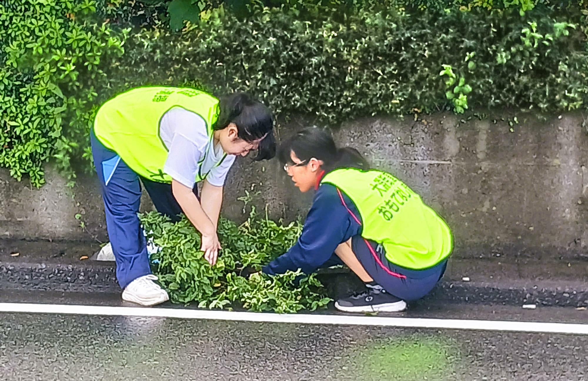 夏は結構草が伸びるんですよね