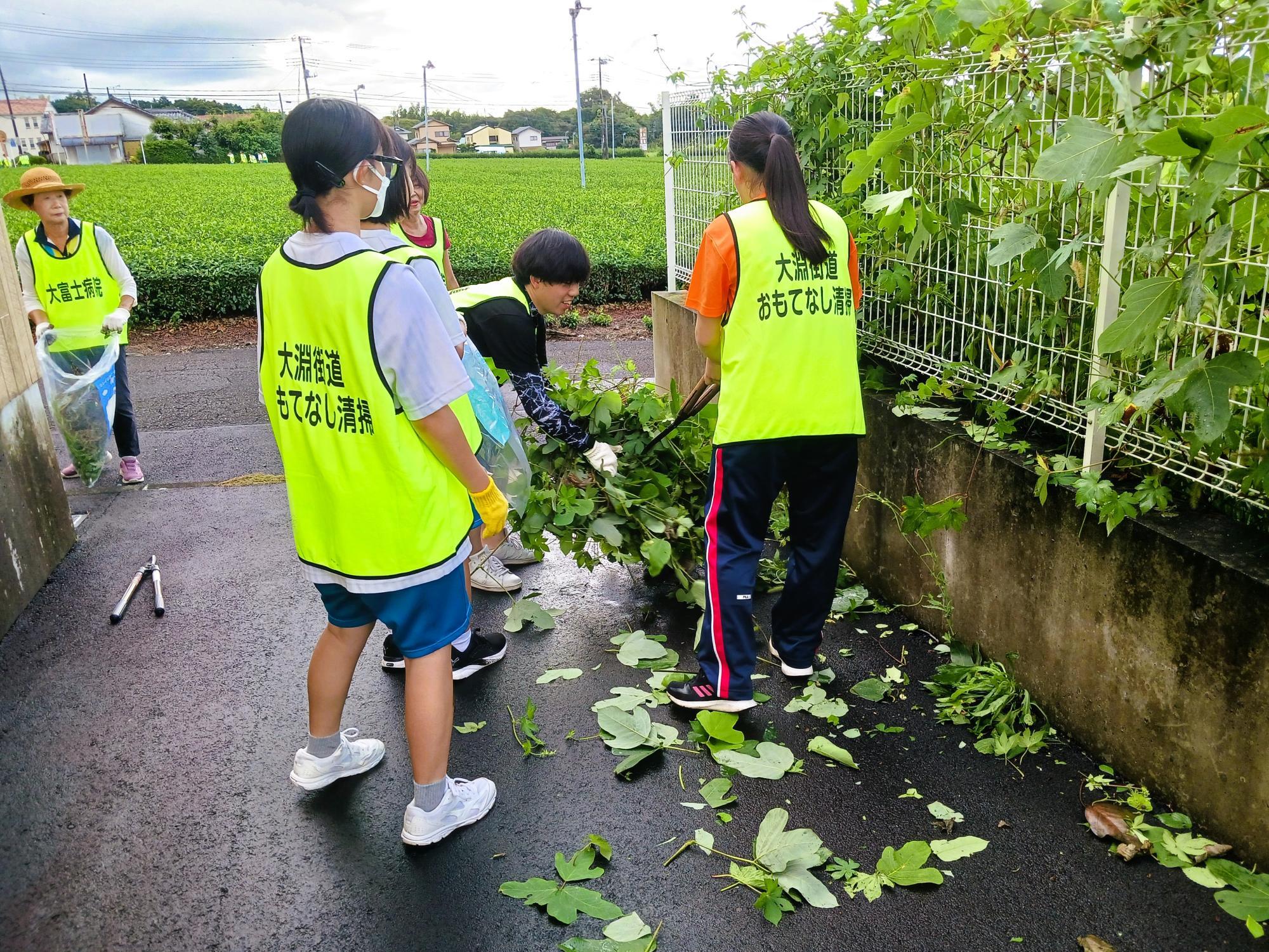 薬局の裏側もつる性の草を刈りました