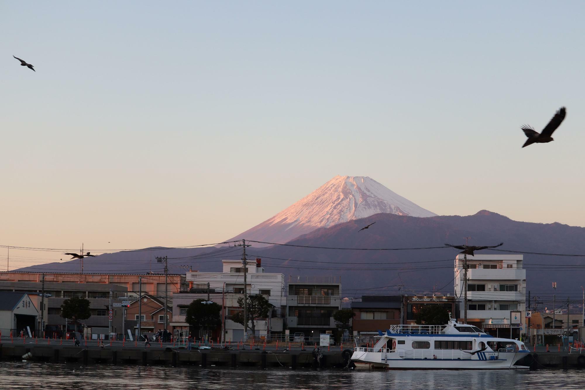 夕焼けに染まる富士山も素晴らしい光景です