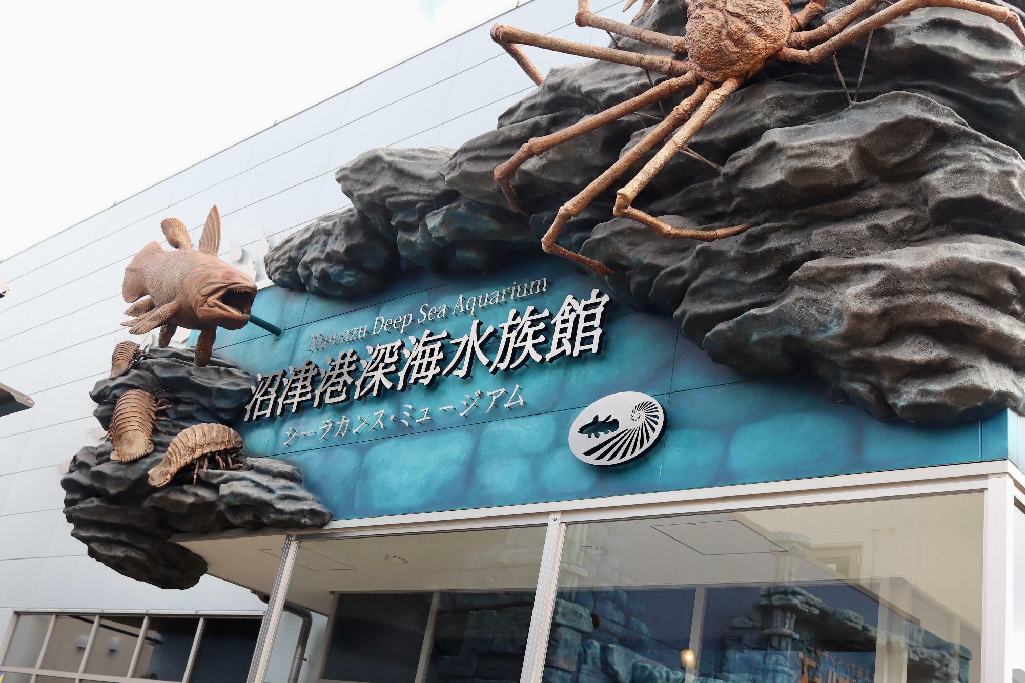 すぐ近くに「沼津港深海水族館」さんもあります