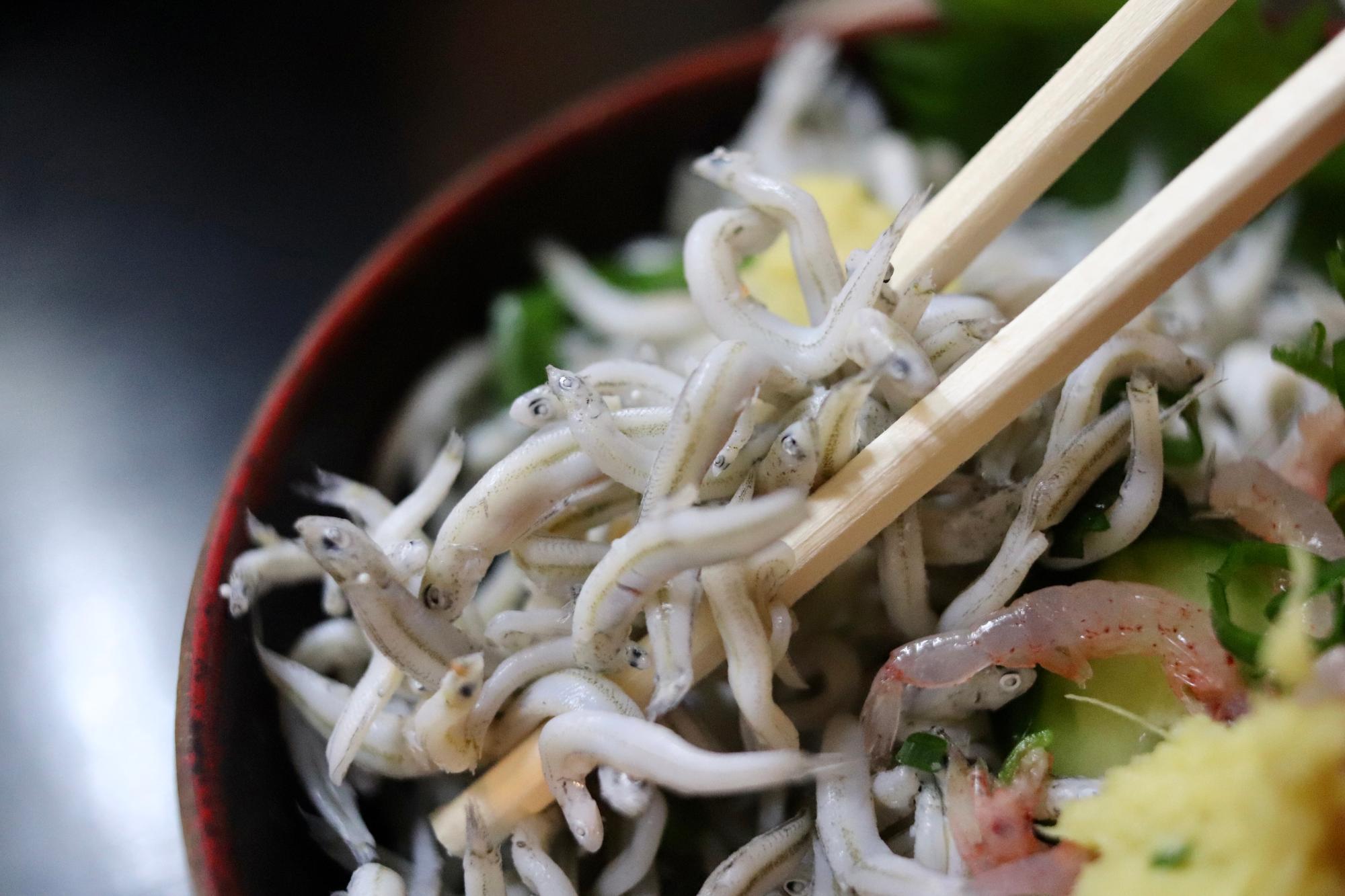 うま味のギュッと詰まった釜揚げしらす