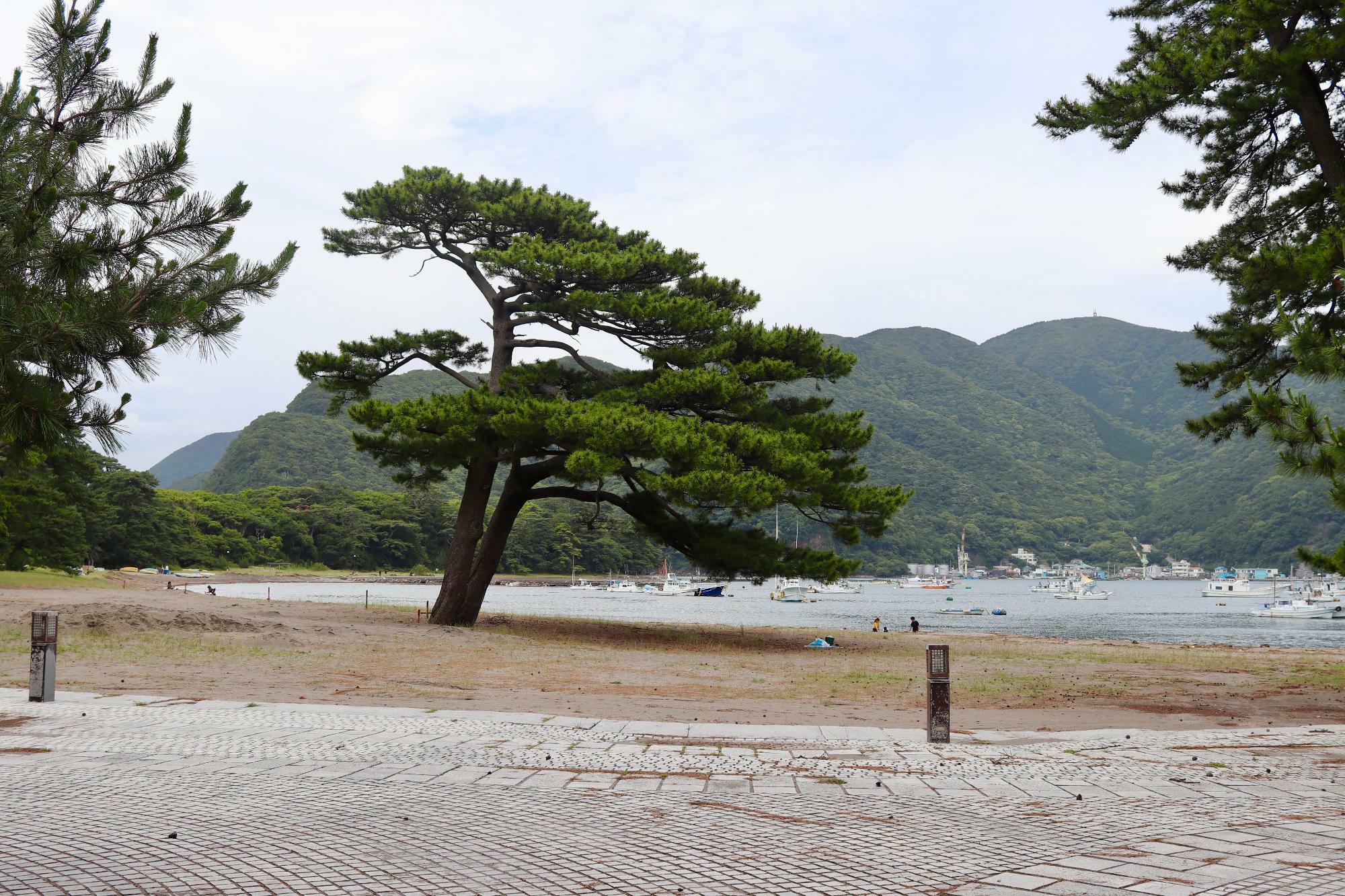 戸田御浜岬公園