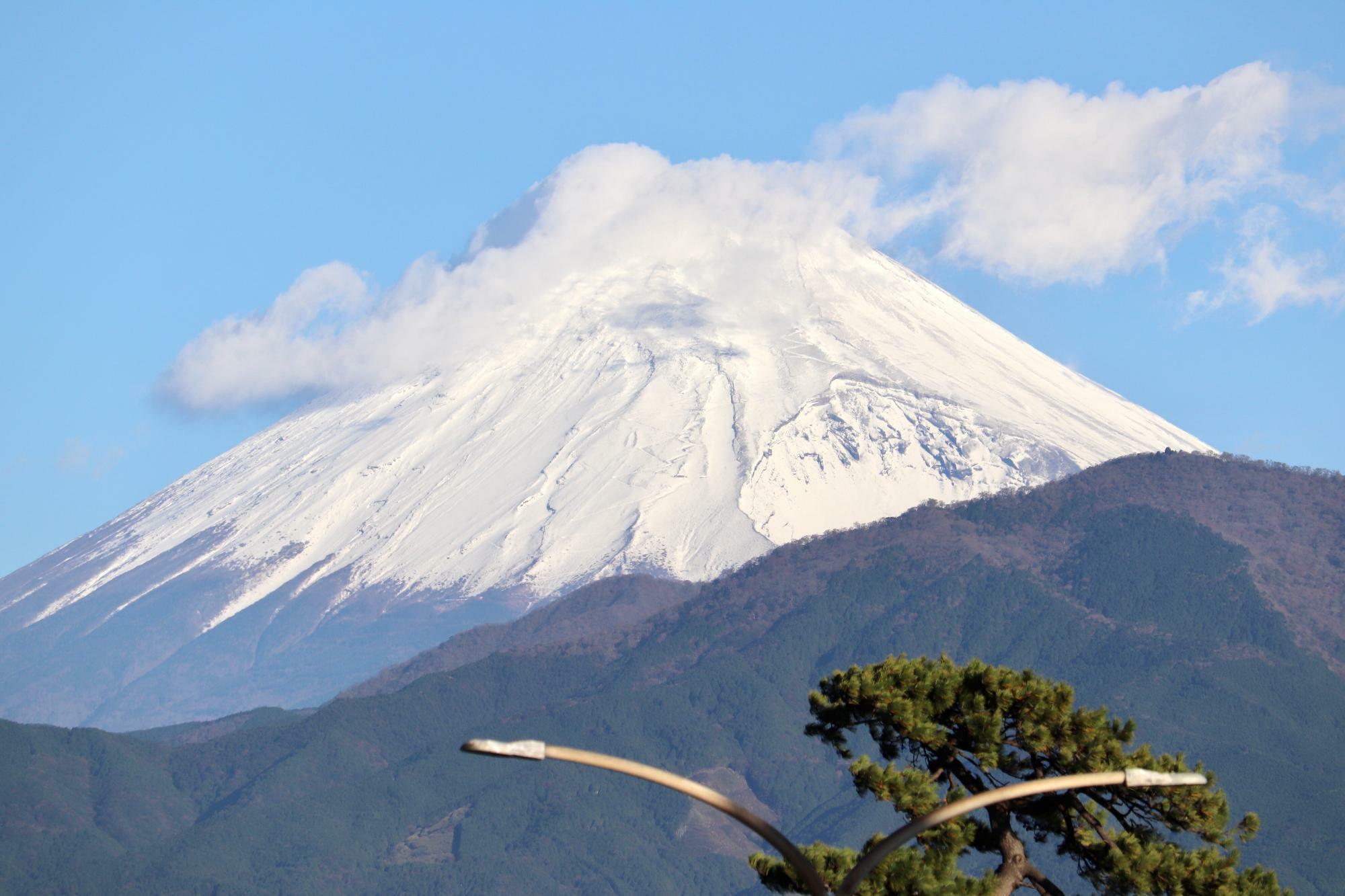 白く雪化粧した富士山が見頃です