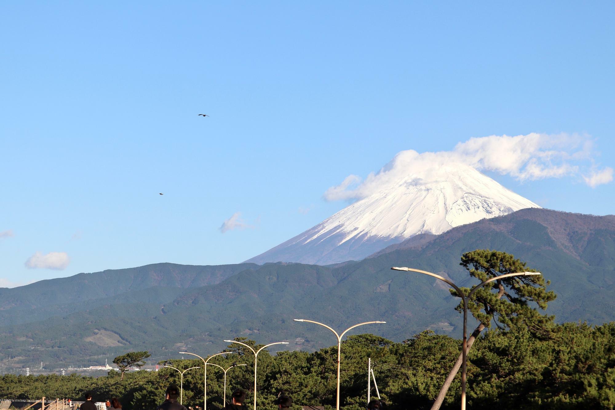 歌人・若山牧水も愛した千本松原の風景