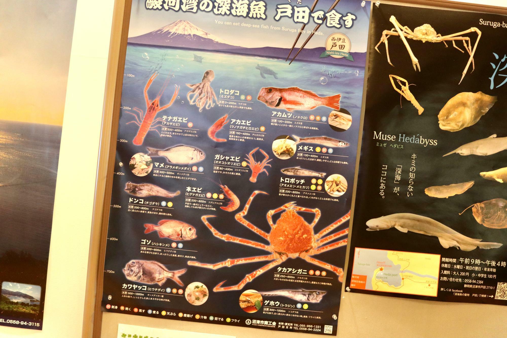 沼津市戸田の道の駅「くるら戸田」に掲示された深海魚食材のポスター