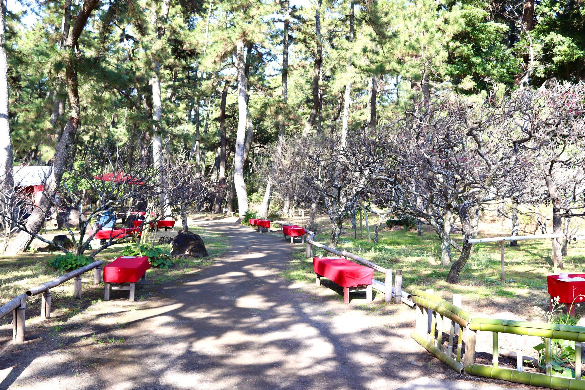 沼津御用邸記念公園の梅園