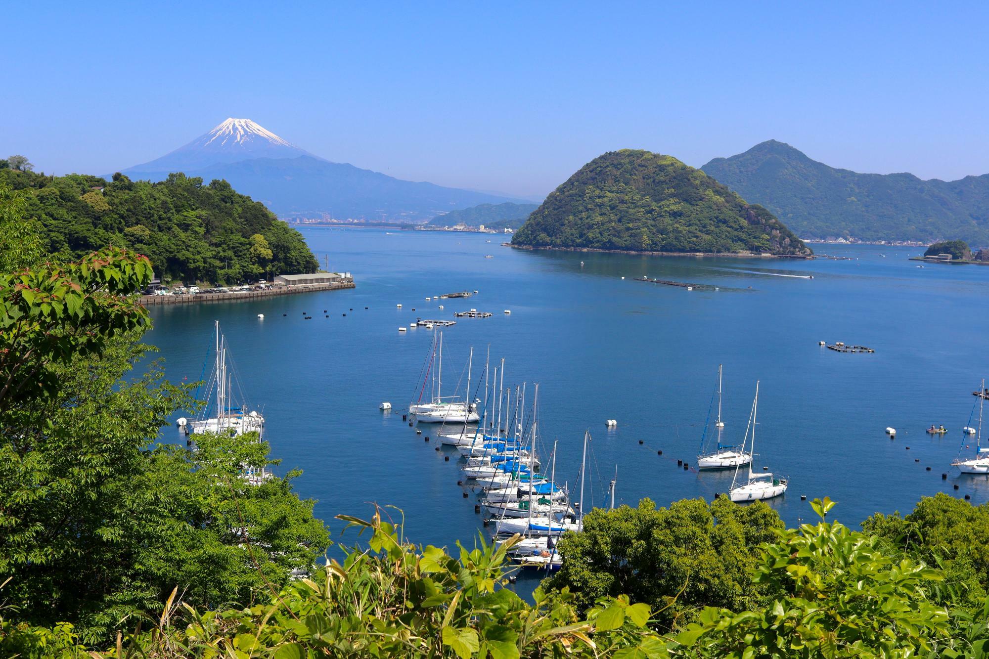 北側に美しい海と富士山を一望する絶景スポットです