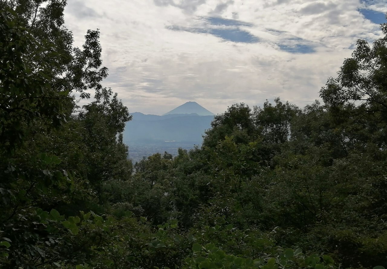 湯村山頂上から見えた富士山