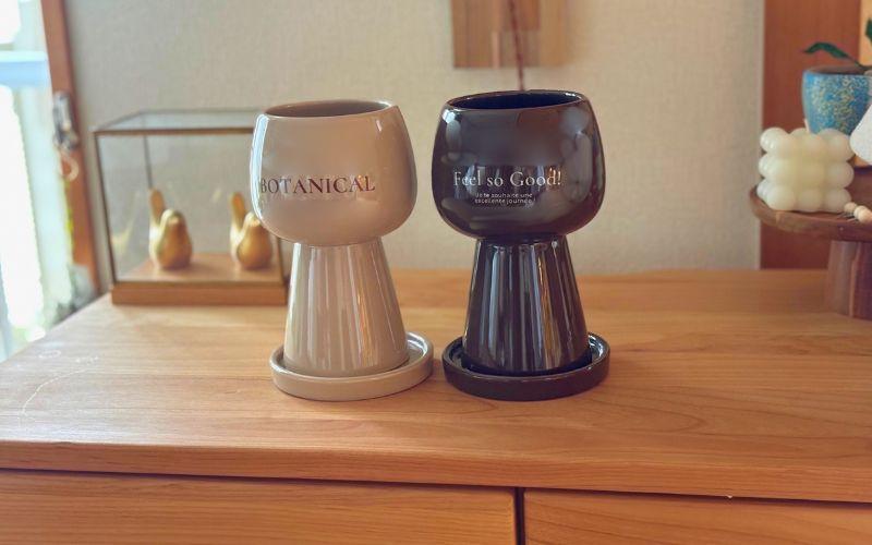 Amazon.co.jp: ウサギセラミックラボラトリー 3点 まとめ売り