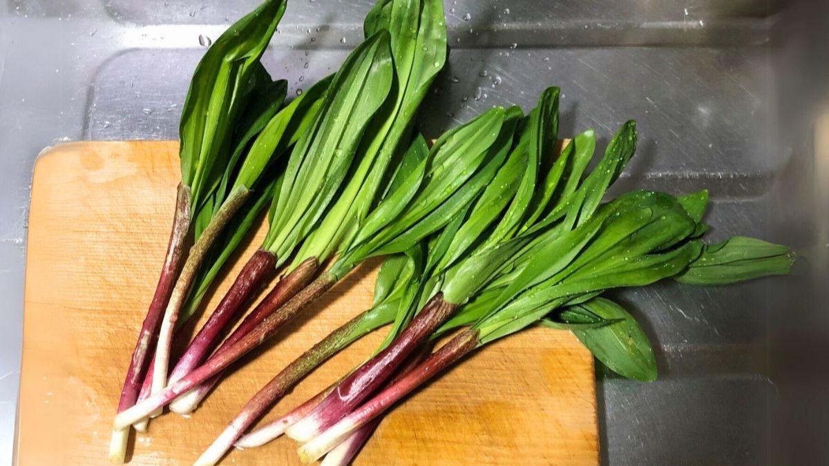 Amazon | 北海道産 天然 行者にんにく 3kg (冷蔵品) 春の味覚