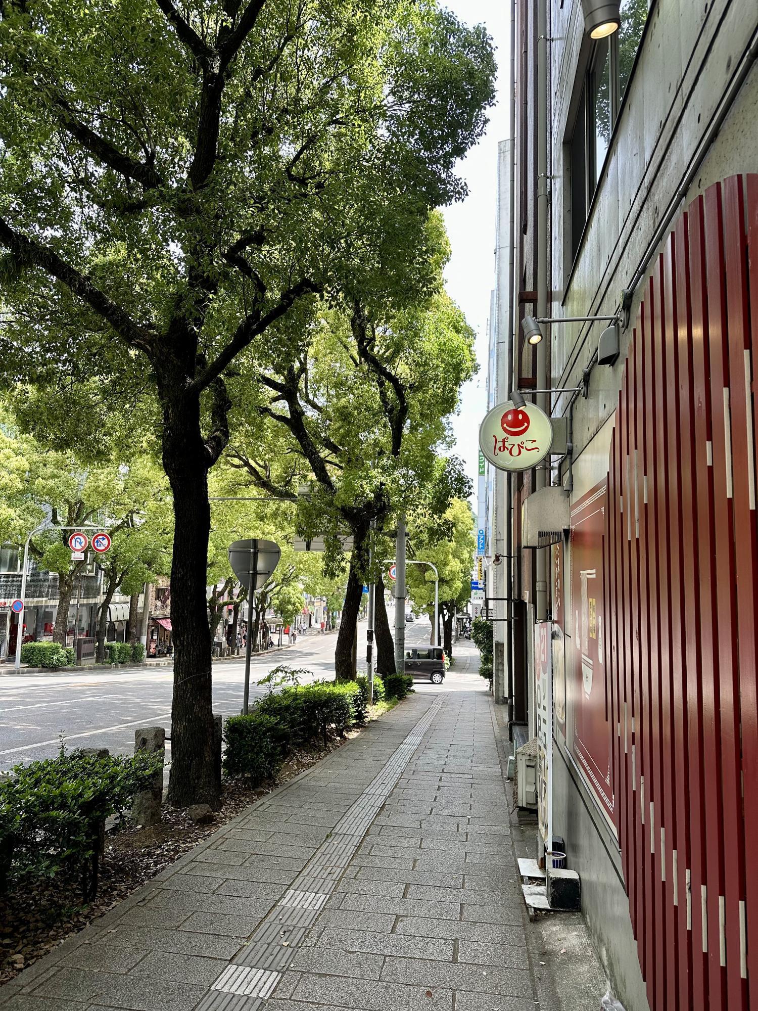 並木道が綺麗な県庁坂通り