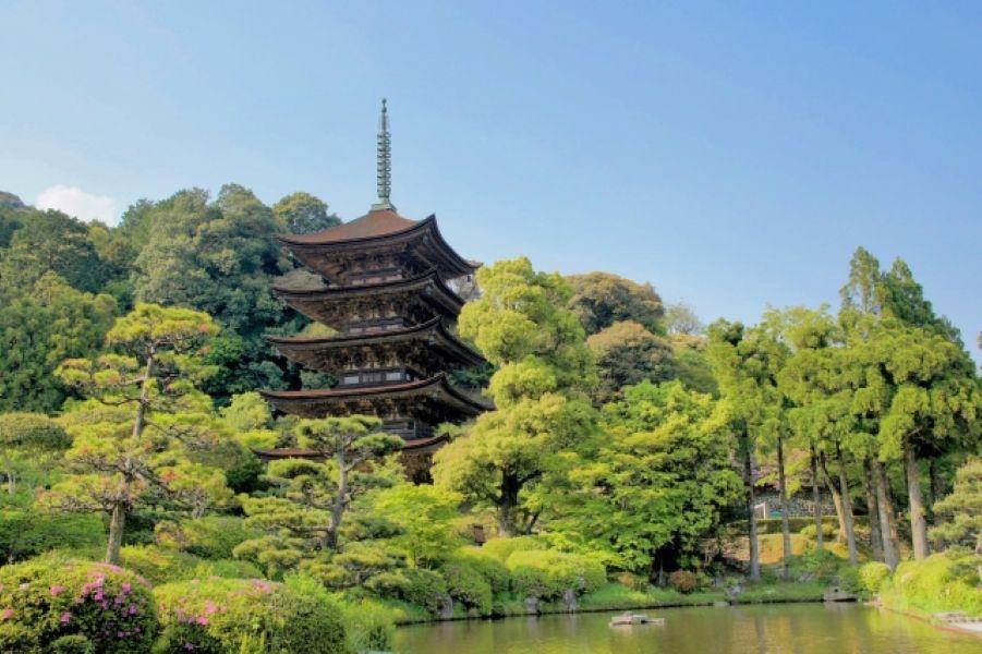 日本を創った人びと13－大内義隆ー文武両道を目指した西国の雄ー 日本を創った人びと13－大内義隆ー文武両道を目指した西国の雄ー 本
