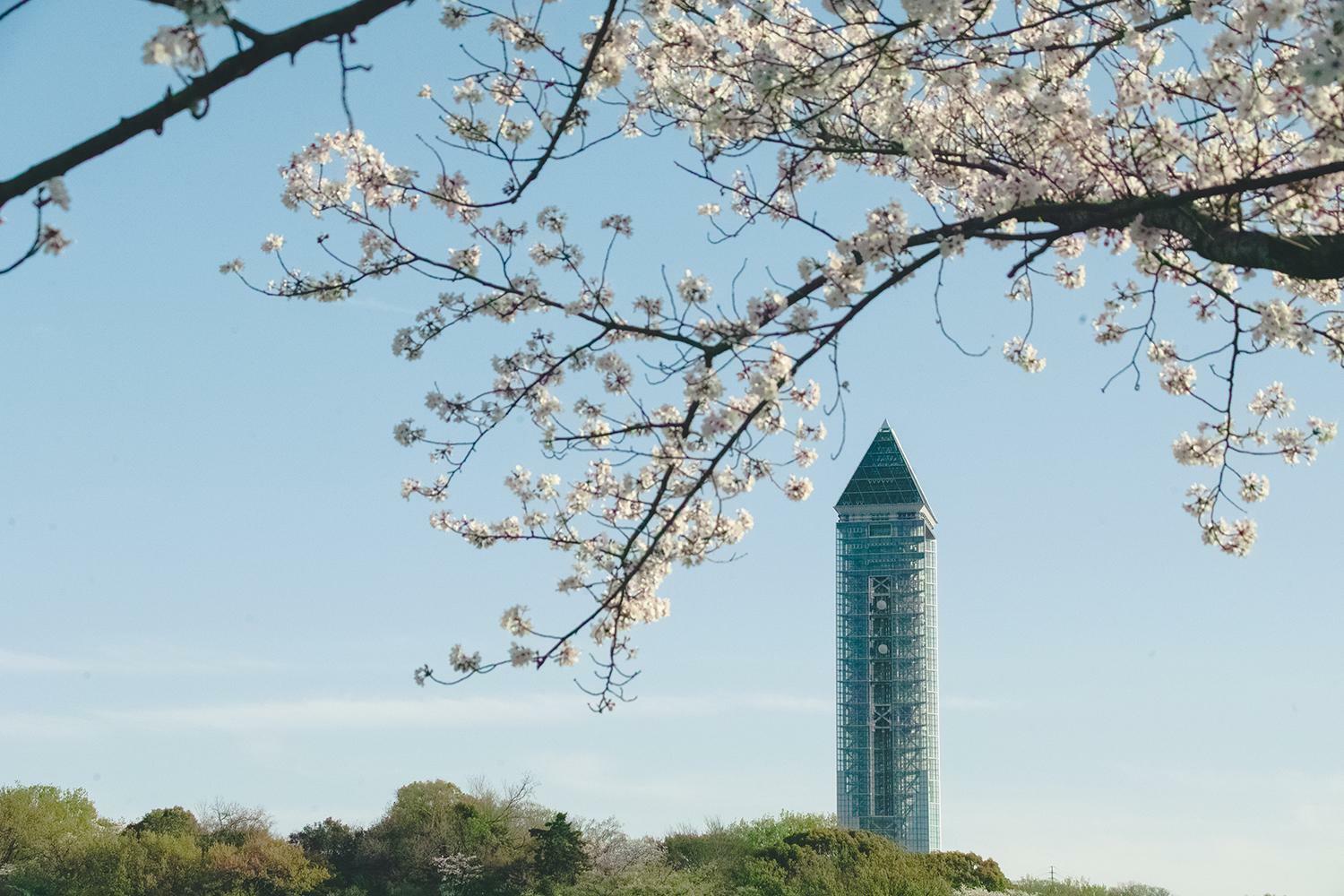 桜の季節の東山スカイタワー