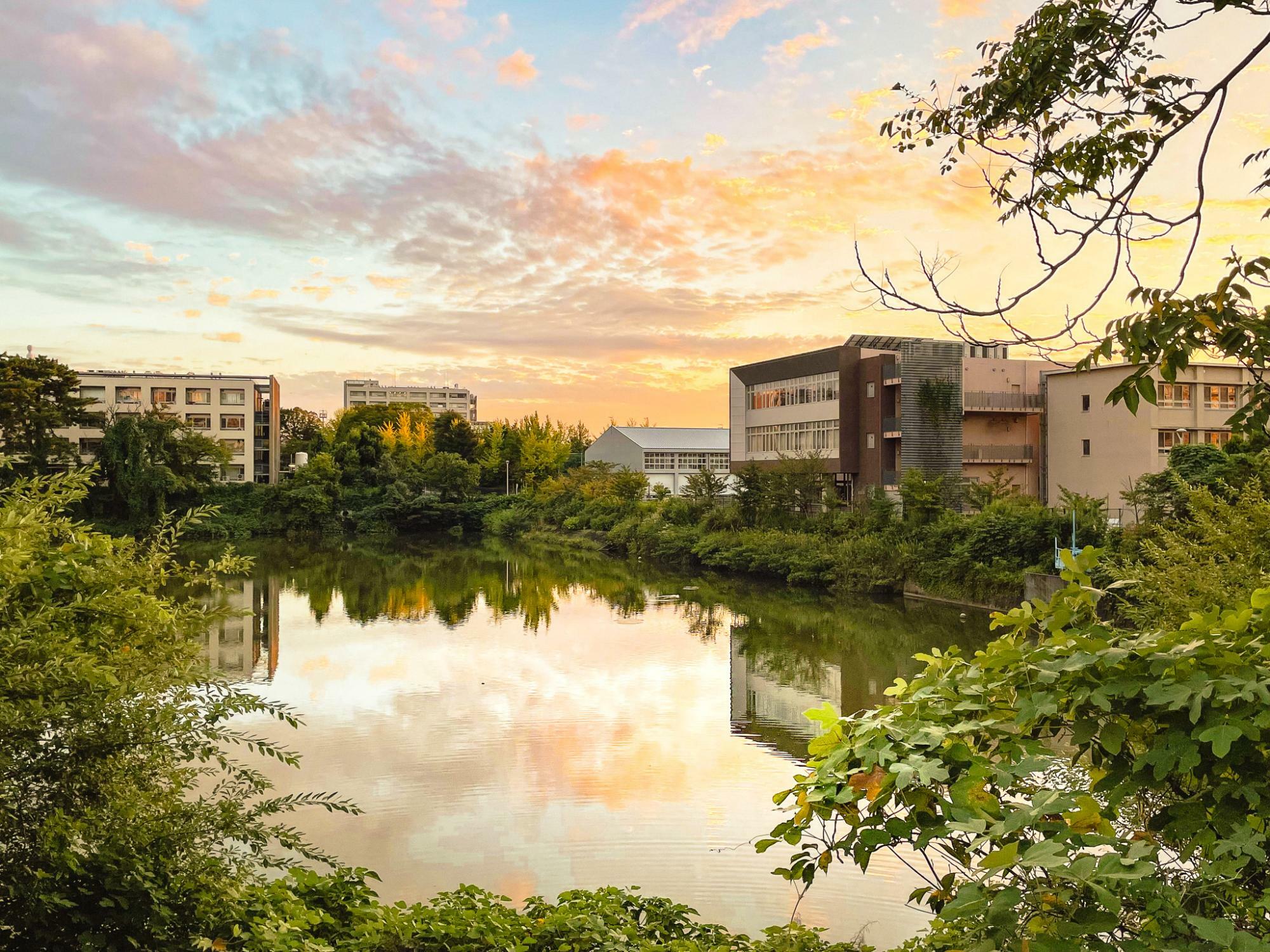 鏡ヶ池（池の向こうの建物が名古屋大学教育学部附属中・高等学校です）