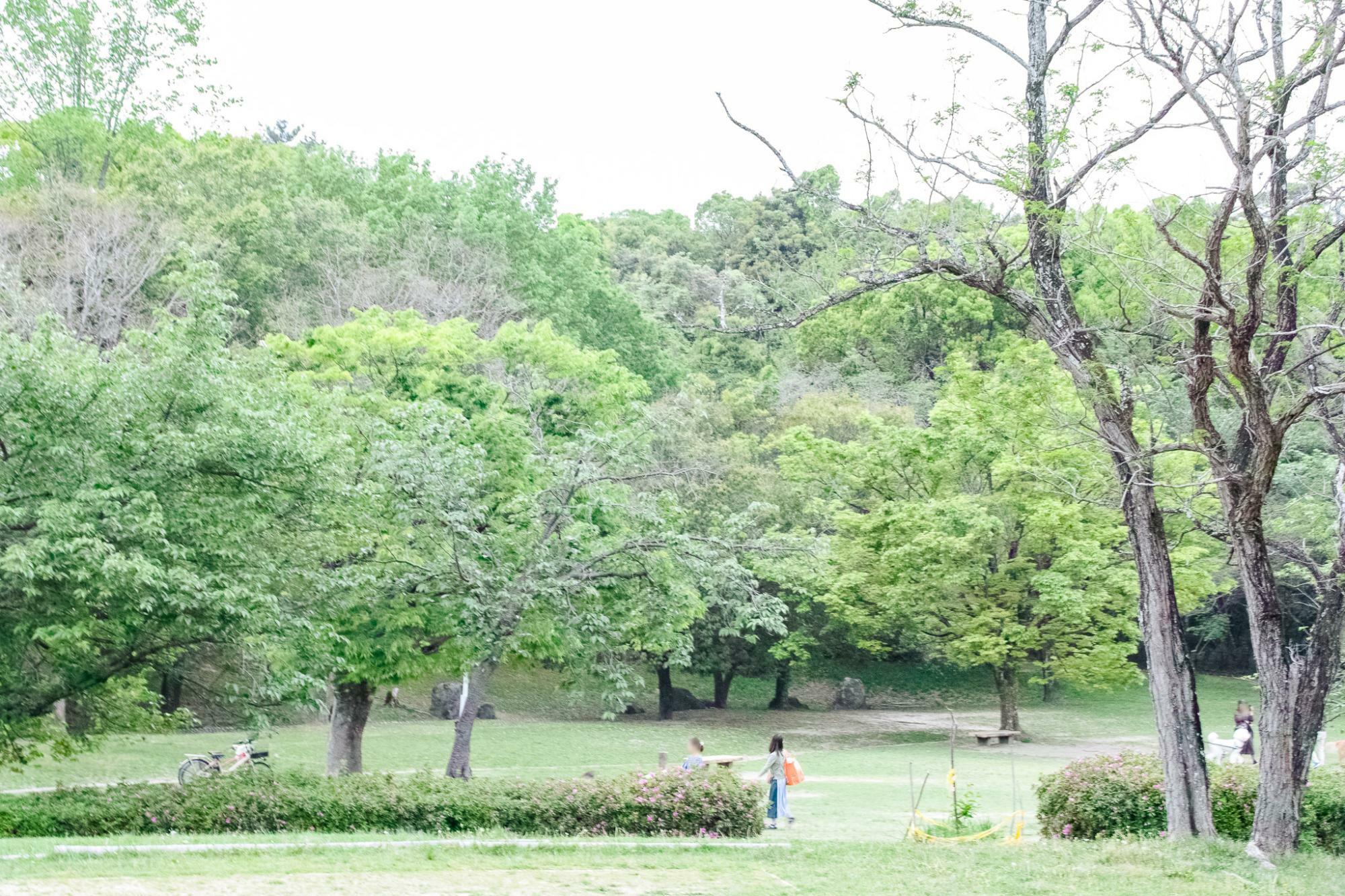 牧野ヶ池緑地 芝生広場