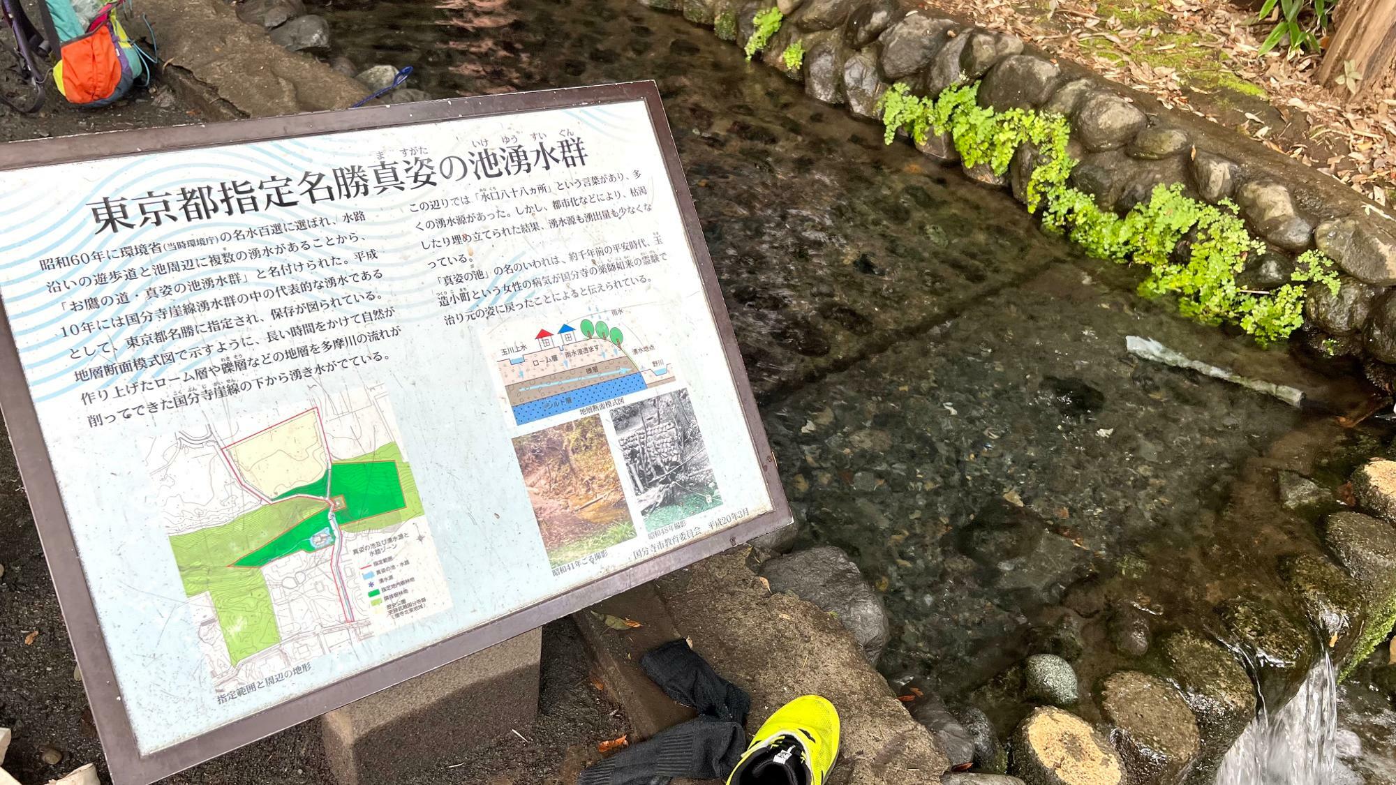 東京都指定名勝「真姿の池湧水群」