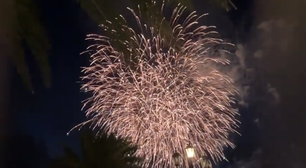 ヤシの木とおしゃれな街頭を背に見る花火