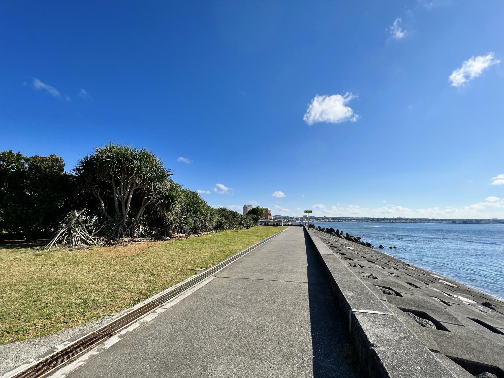 宮城海岸入口から左側の遊歩道