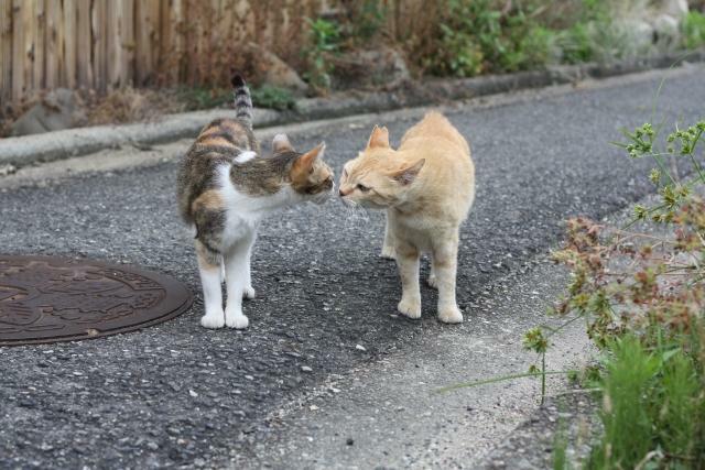 話してごらんよ。聴いてあげるから。