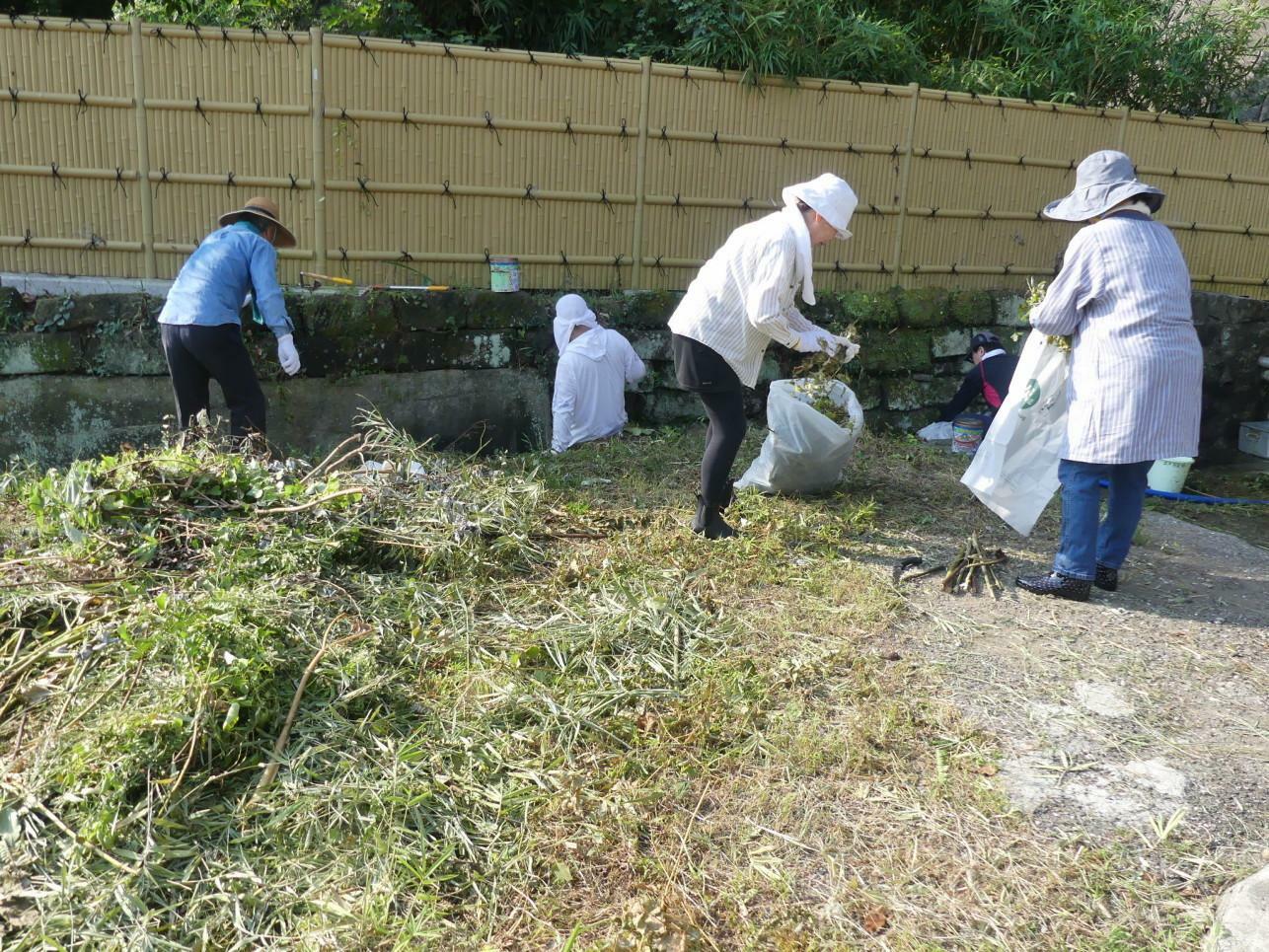 大量の草を皆で袋に詰めています。筆者もこの作業を少しだけ手伝いました。