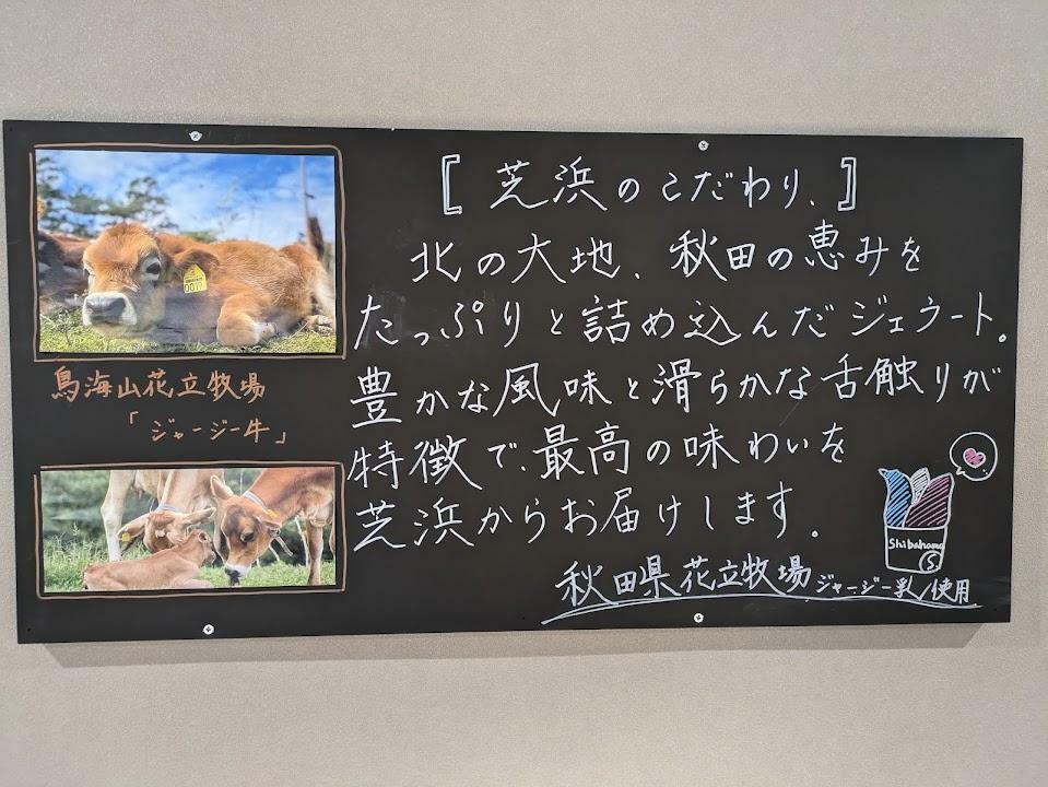 「芝浜のこだわり」鳥海山花立牧場の「ジャージー牛乳」を使用しています。濃厚な味わいと滑らかな口当たりが特徴的。