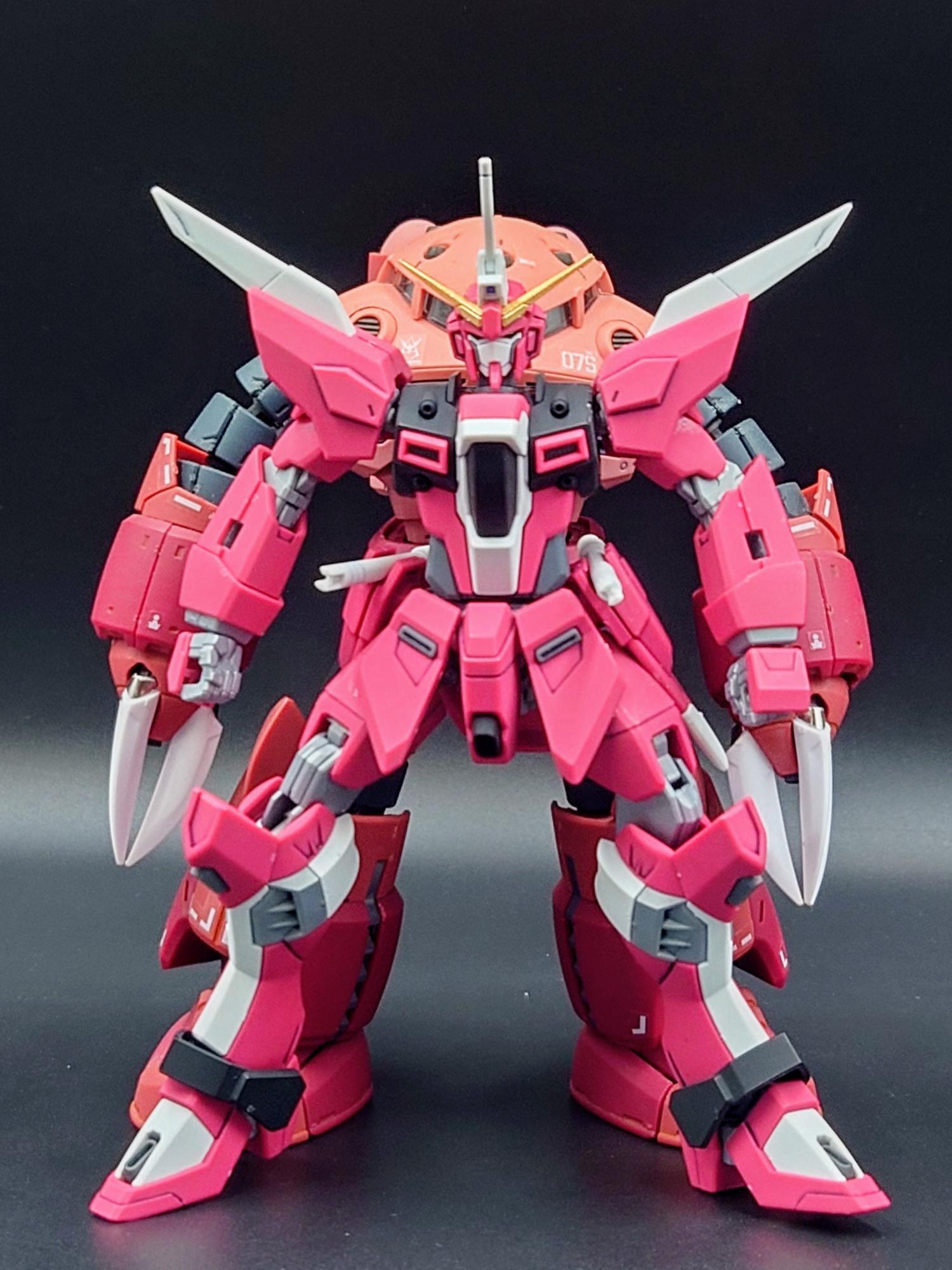 ズゴックから生まれ落ちた注目機【HGインフィニット ズゴックから生まれ落ちた注目機【HGインフィニット