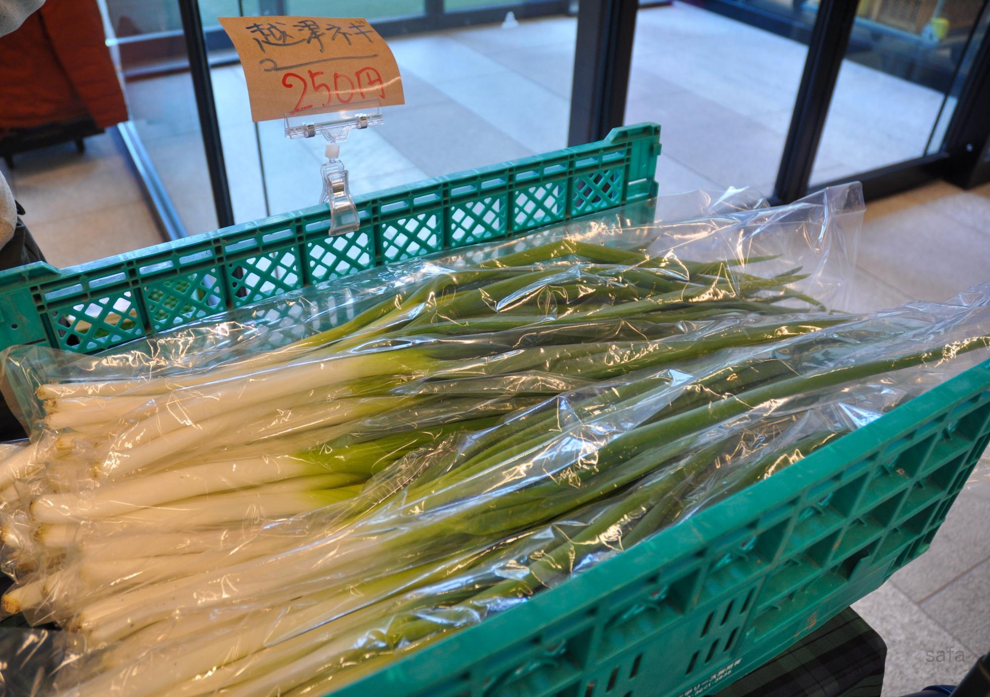 愛知の伝統野菜「越津ネギ」。冬には正月菜も登場します。