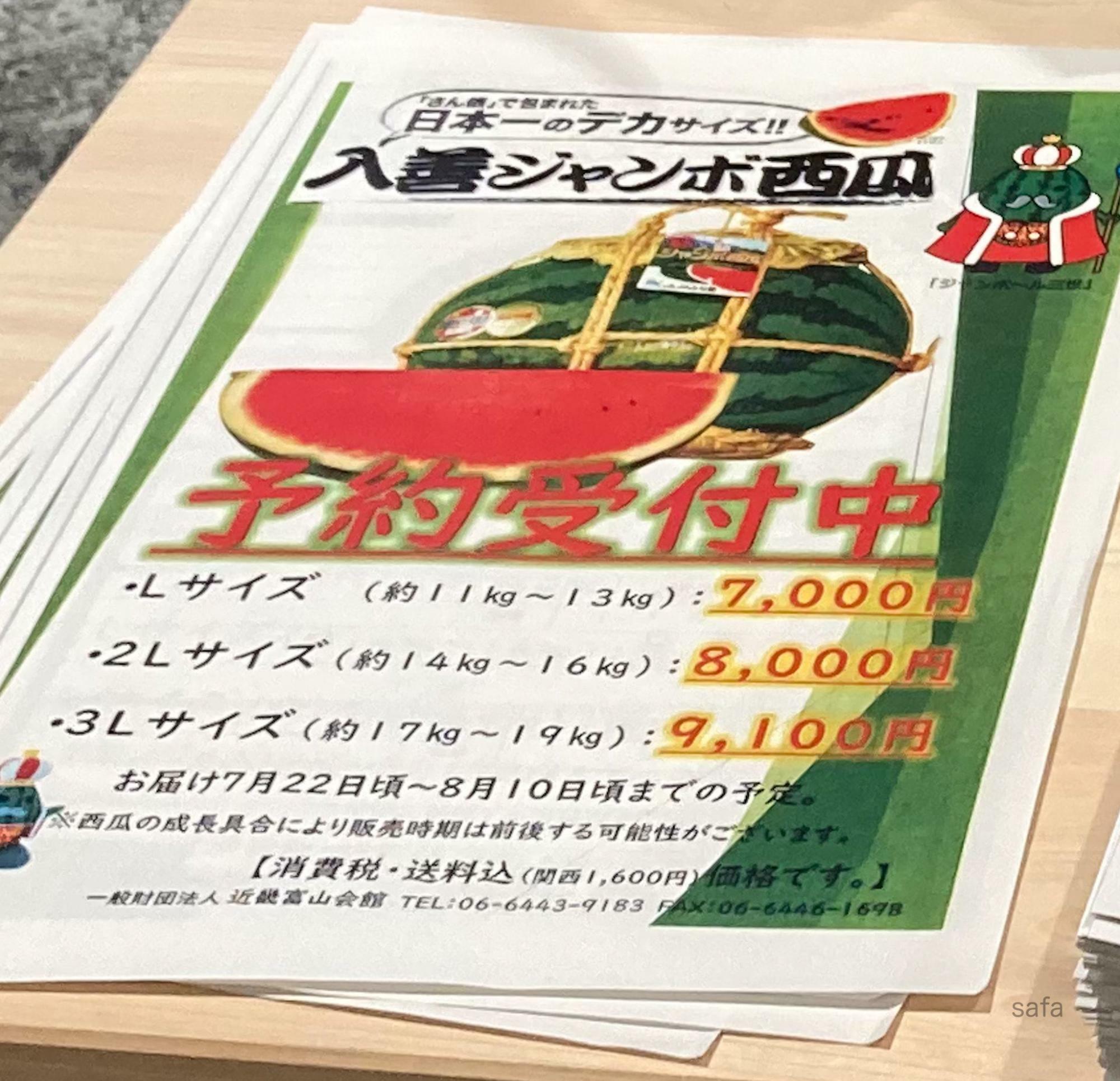 予約についての資料もありました。友達や親戚と一緒に、みんなでワイワイ切り分けたら楽しそう。保存がきく種類のスイカです。