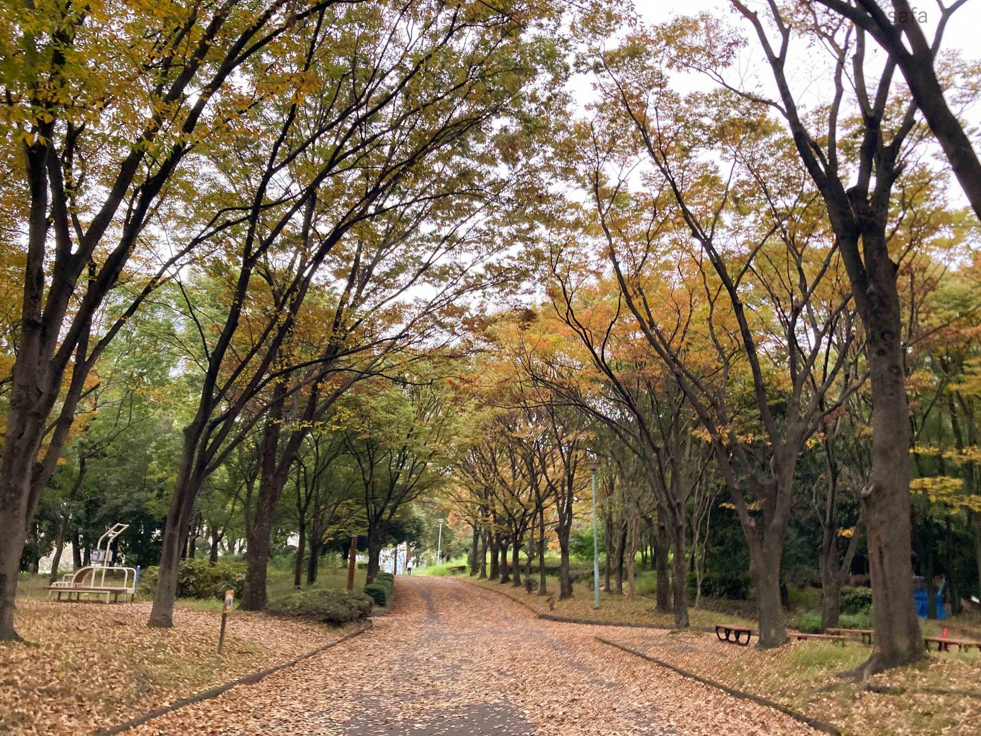 深まる秋。