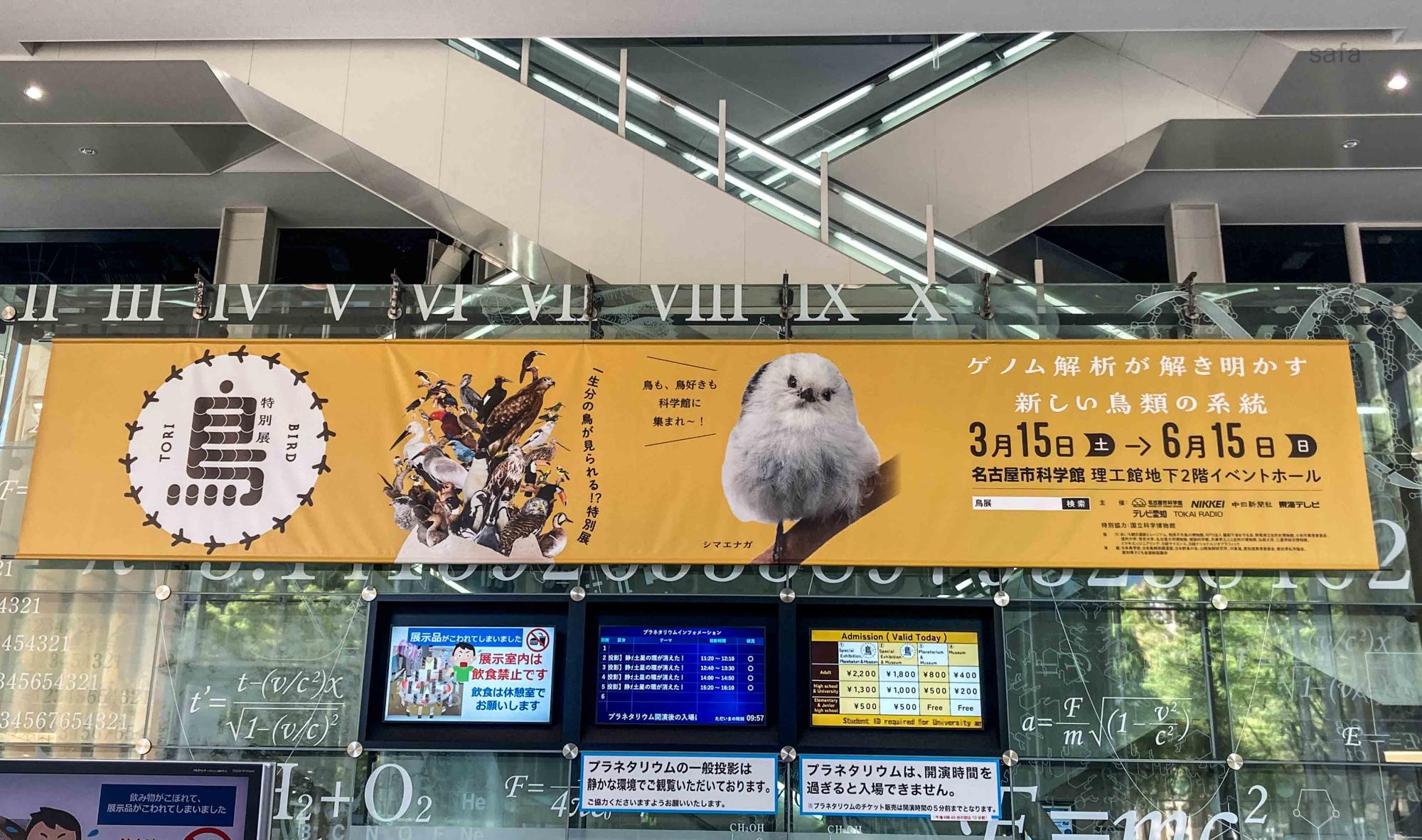 N*）様 【期間限定】名古屋市科学館 鳥展 オオタカ ※先着5000枚限定 名古屋市中区「一生分の鳥を見よう」約30万人を動員した特別展「鳥 PEANUTS\\u201cウッドストック\\u201dコラボグッズも！400点超の鳥標本が集結する N*）様 藤前干潟に飛来する水鳥の標本 名古屋市科学館で開催中の「鳥展」 videos