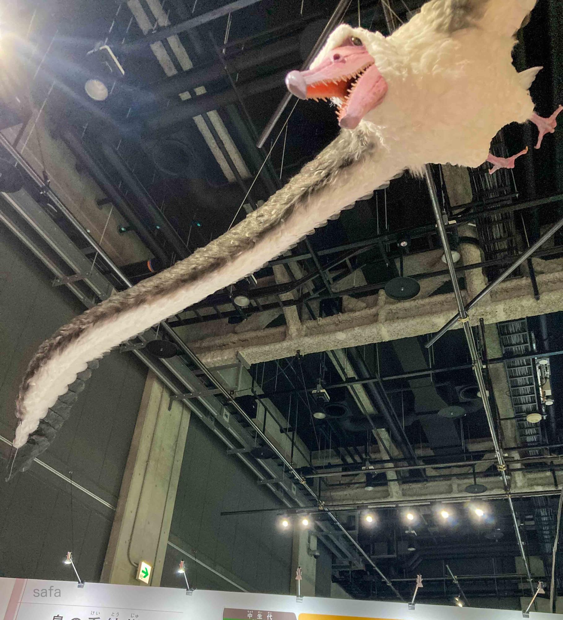 名古屋市中区「一生分の鳥を見よう」約30万人を動員した特別展「鳥