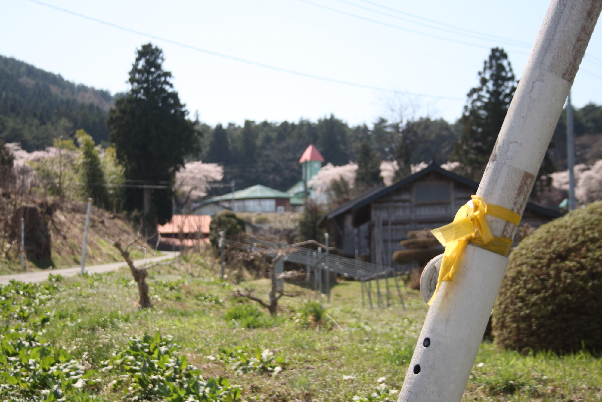 目印の先に見えるゴール「わっせ交流センター」