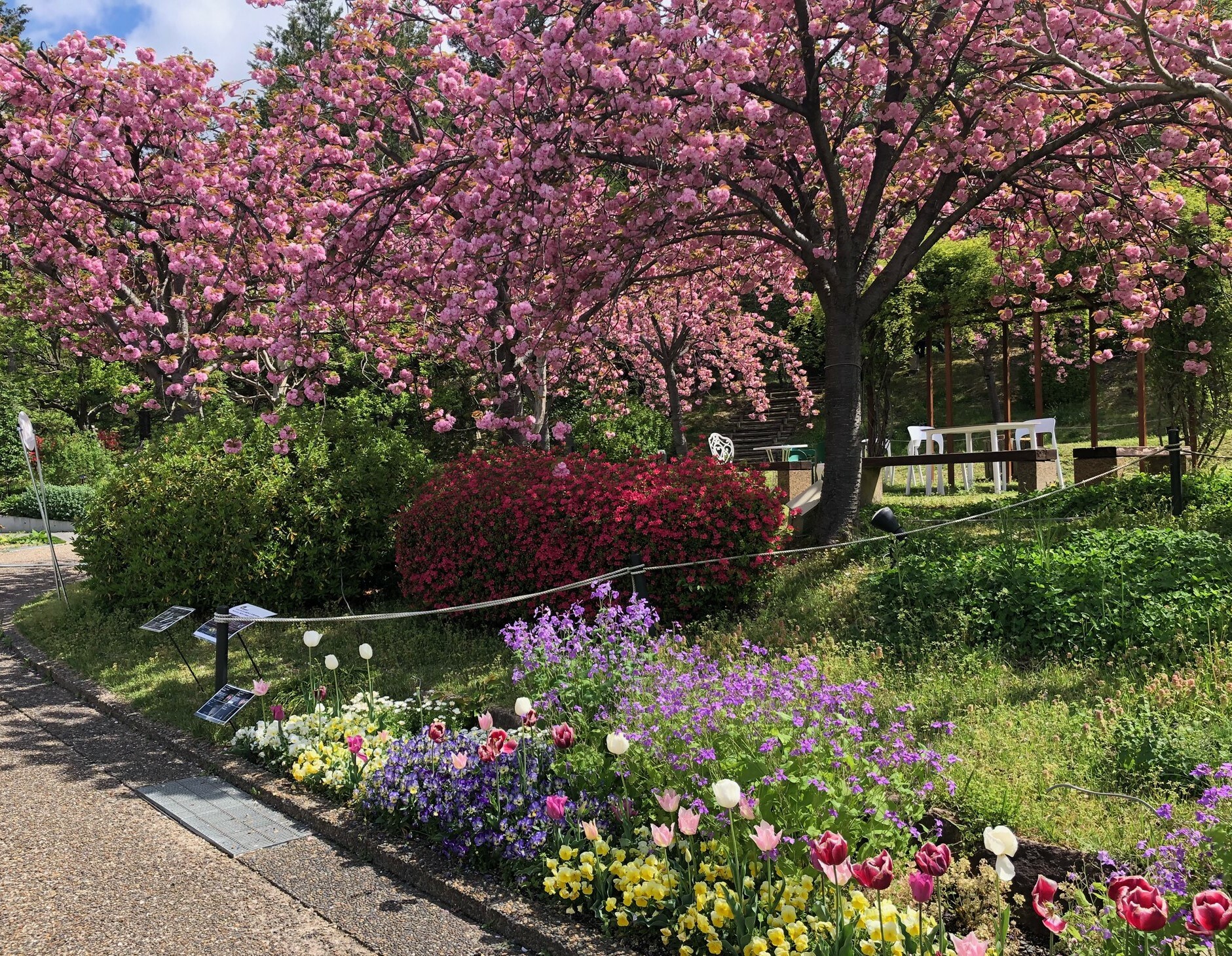 宇治市植物公園2022年4月撮影