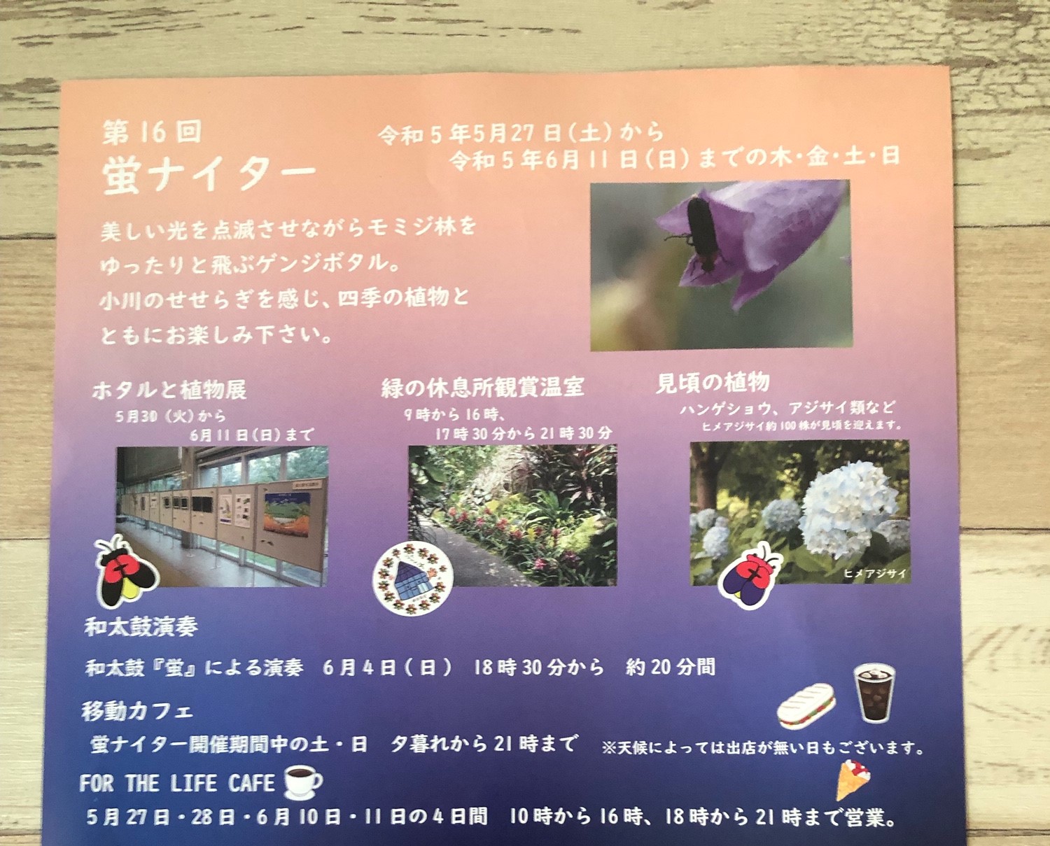 宇治市】植物公園で蛍が見られる！ 5月27日～6月11日までの木・金・土