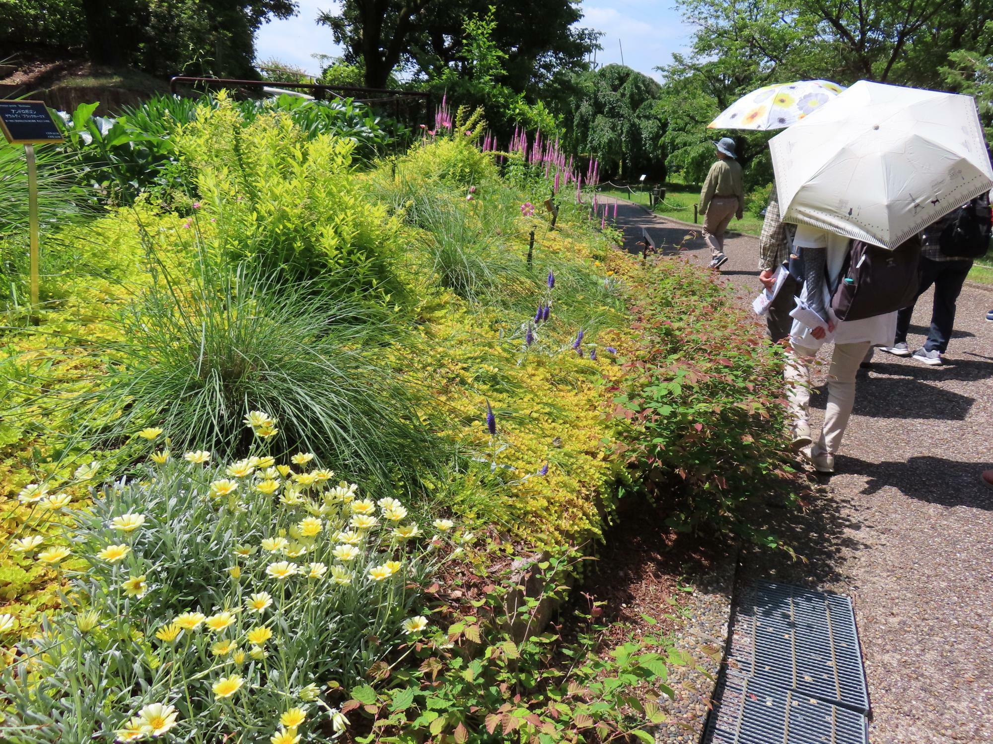 過去の植物公園の様子