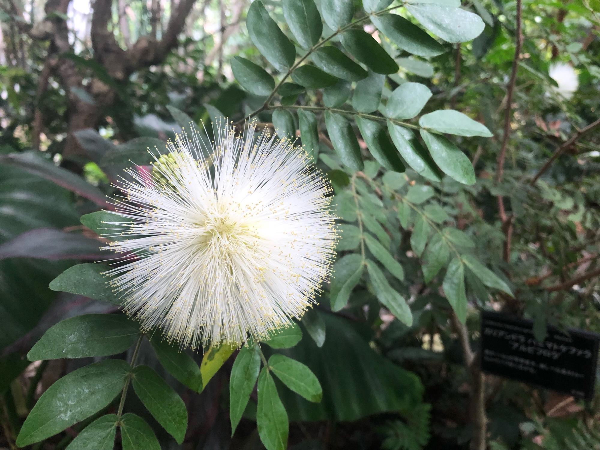 2023年1月の植物公園温室内の様子