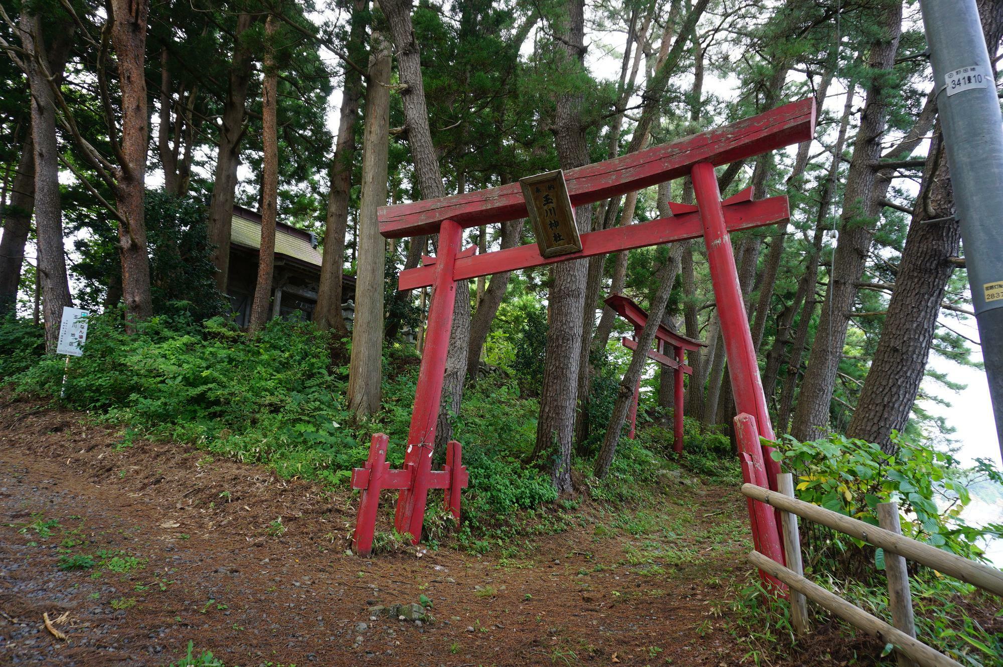 玉川神社