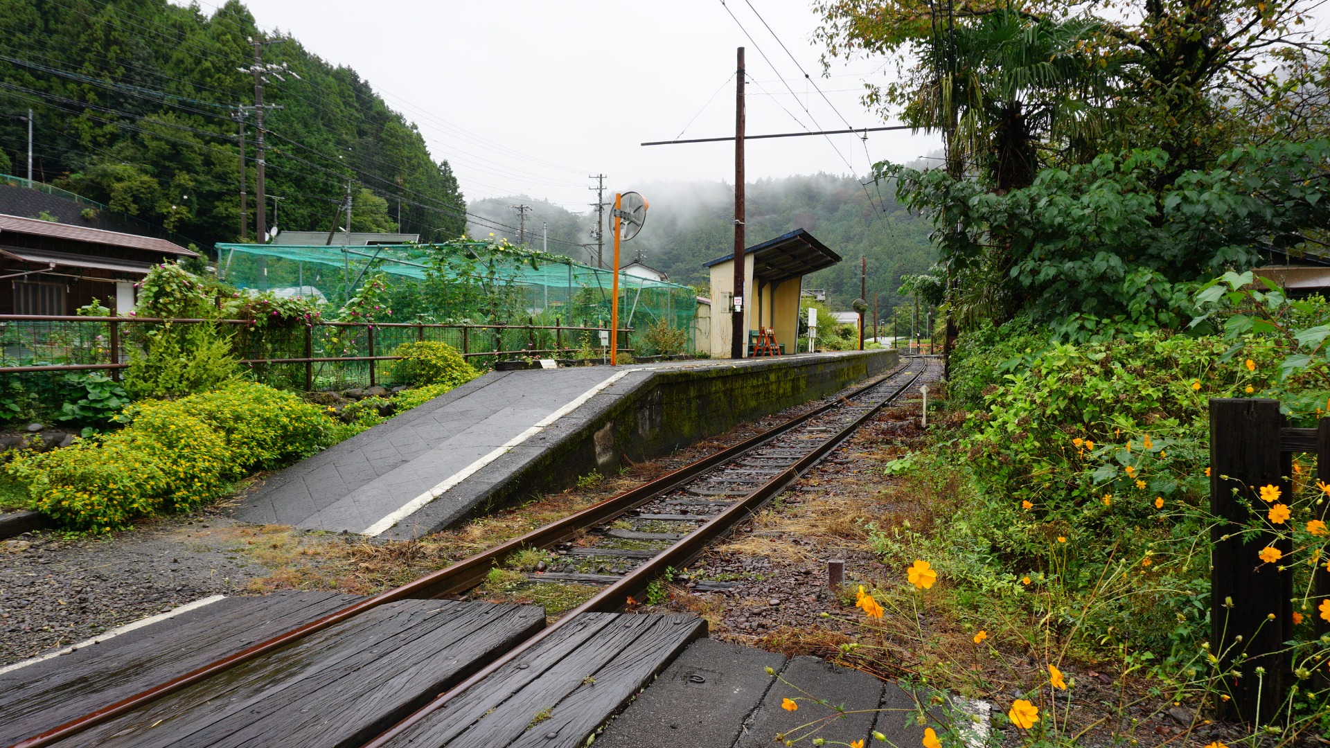 列車がやってこない河岸段丘上の集落の駅 大井川鐡道本線 崎平駅（静岡