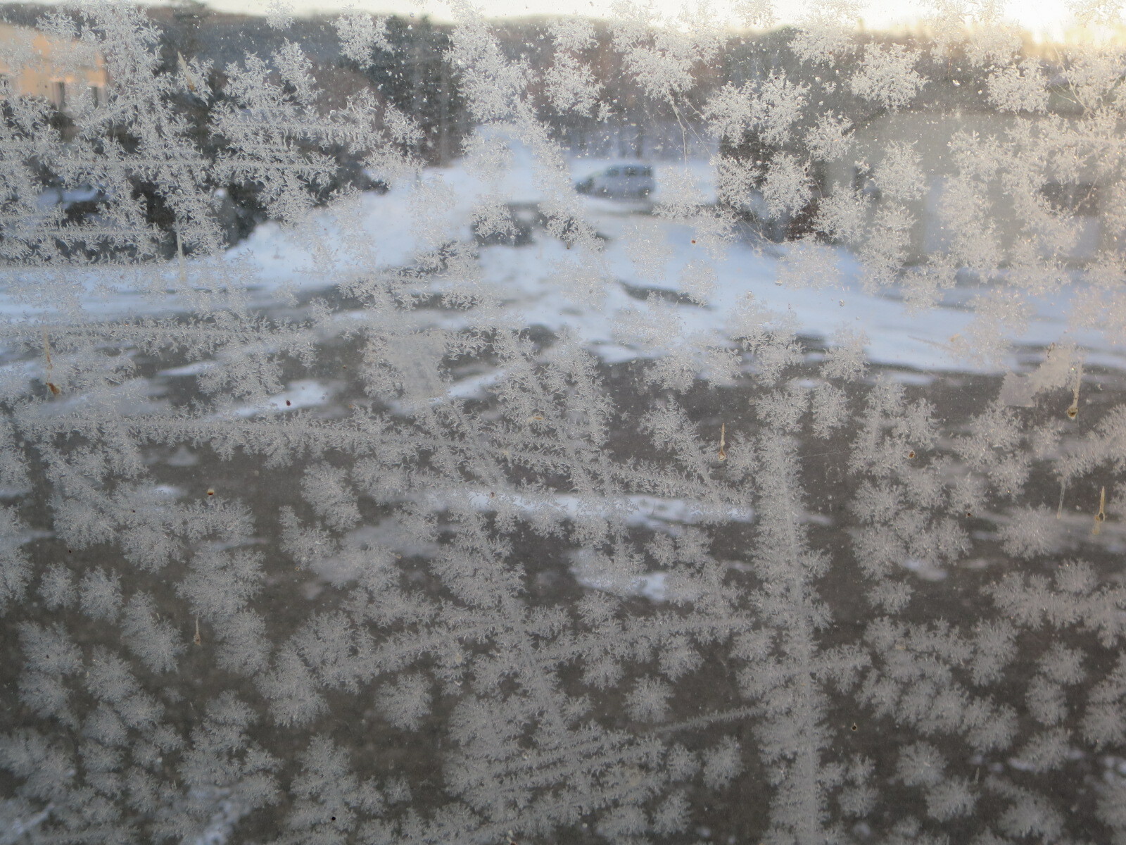窓に付着した雪の結晶