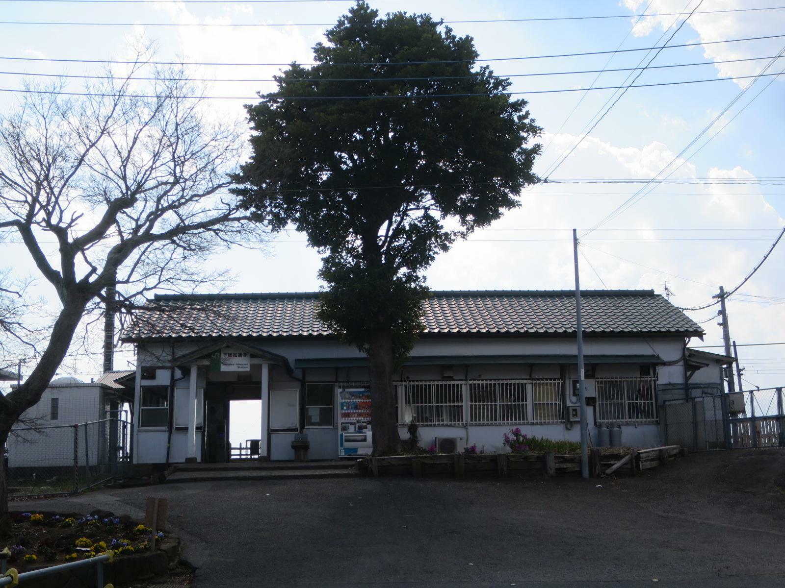 駅舎と大木