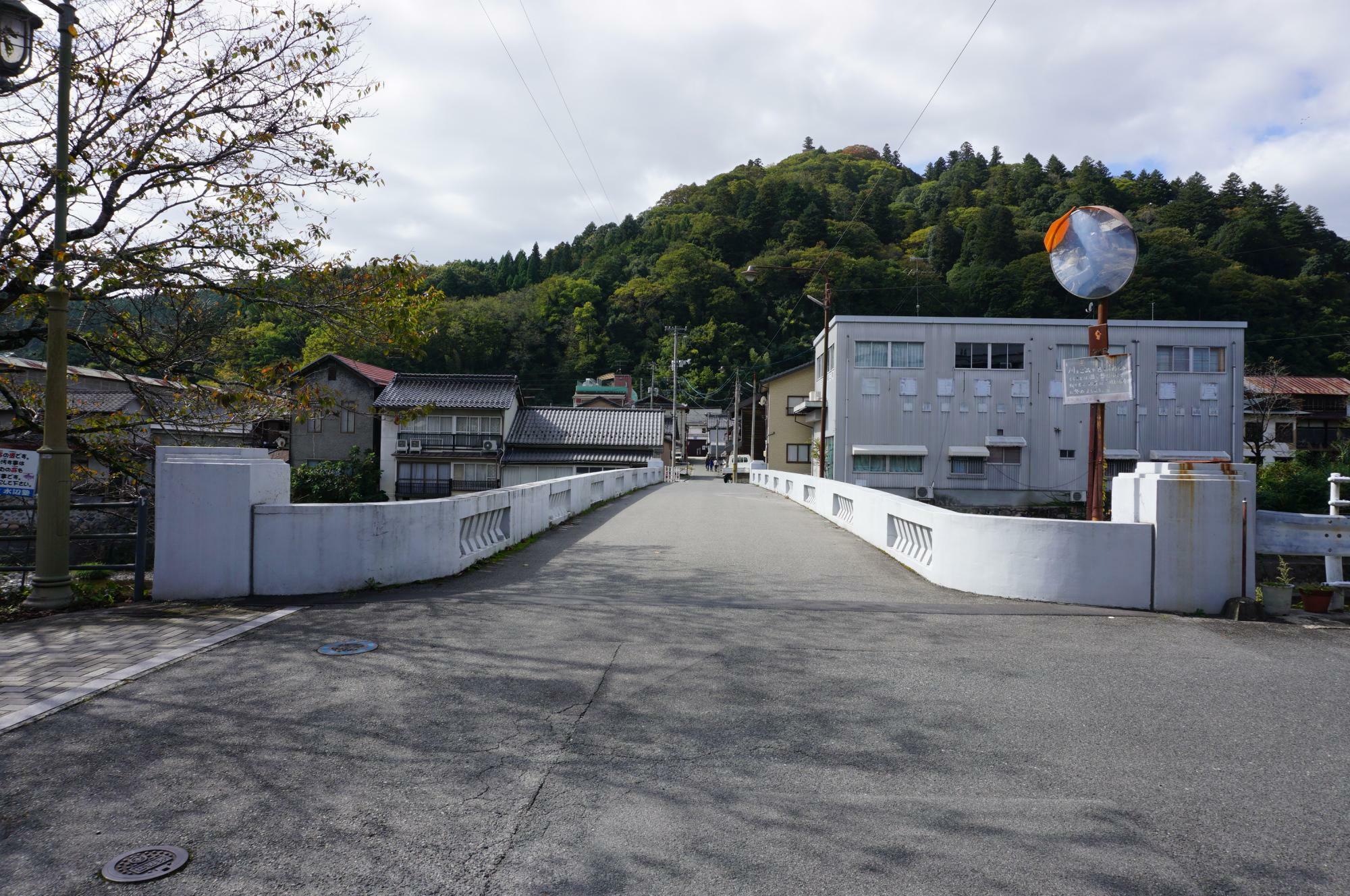 栃木橋と城山